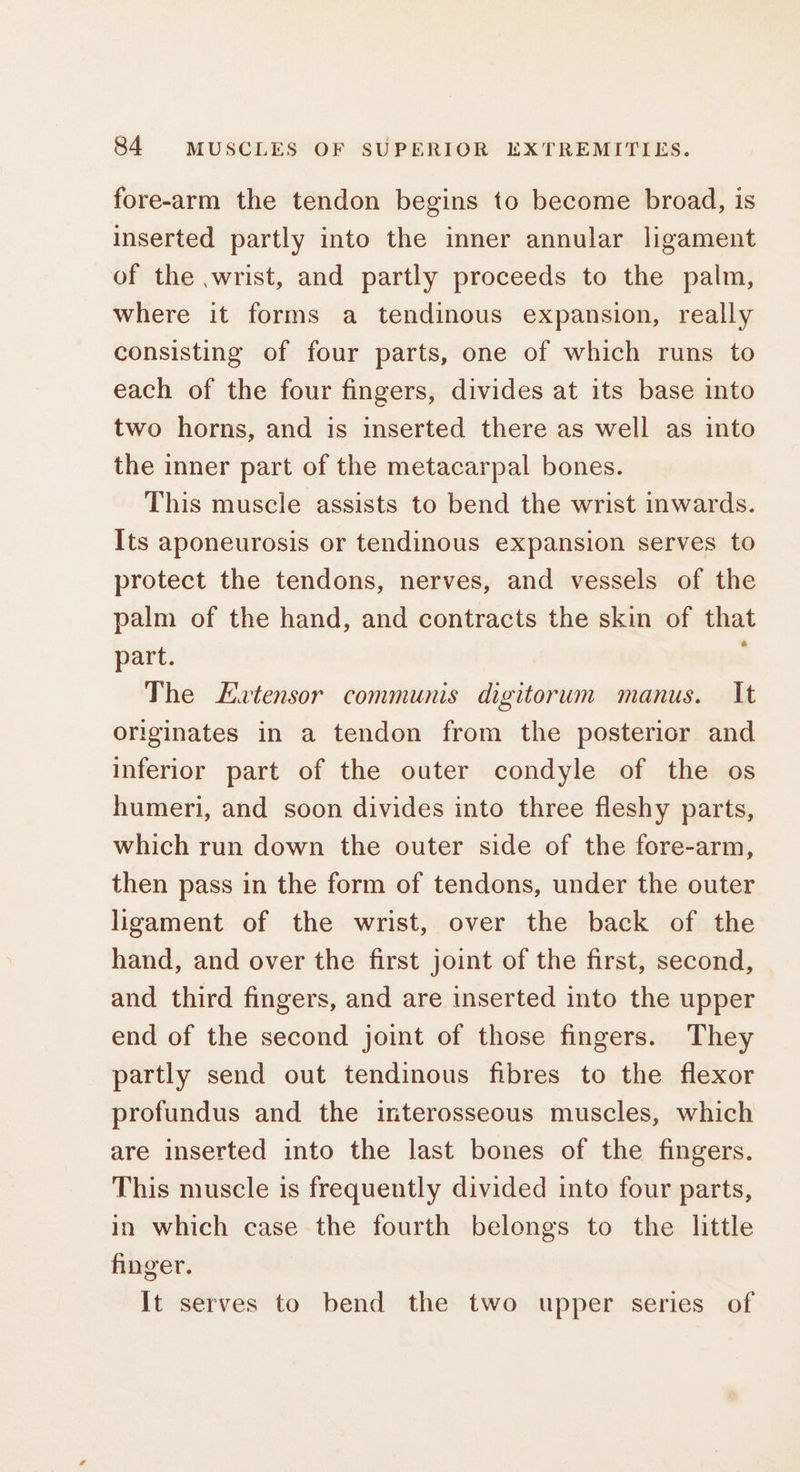 fore-arm the tendon begins to become broad, is inserted partly into the inner annular ligament of the .wrist, and partly proceeds to the palm, where it forms a tendinous expansion, really consisting of four parts, one of which runs to each of the four fingers, divides at its base into two horns, and is inserted there as well as into the inner part of the metacarpal bones. This muscle assists to bend the wrist inwards. Its aponeurosis or tendinous expansion serves to protect the tendons, nerves, and vessels of the palm of the hand, and contracts the skin of that part. The Extensor communis digitorum manus. It originates in a tendon from the posterior and inferior part of the outer condyle of the os humeri, and soon divides into three fleshy parts, which run down the outer side of the fore-arm, then pass in the form of tendons, under the outer ligament of the wrist, over the back of the hand, and over the first joint of the first, second, and third fingers, and are inserted into the upper end of the second joint of those fingers. They partly send out tendinous fibres to the flexor profundus and the interosseous muscles, which are inserted into the last bones of the fingers. This muscle is frequently divided into four parts, in which case the fourth belongs to the little finger. It serves to bend the two upper series of
