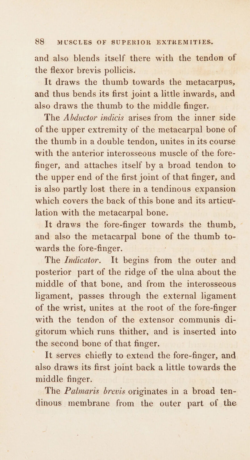 and also blends itself there with the tendon of the flexor brevis pollicis. | It draws the thumb towards the metacarpus, and thus bends its first joint a little inwards, and also draws the thumb to the middle finger. The Abductor indicis arises from the inner side of the upper extremity of the metacarpal bone of the thumb in a double tendon, unites in its course with the anterior interosseous muscle of the fore- finger, and attaches itself by a broad tendon to the upper end of the first joint of that finger, and is also partly lost there in a tendinous expansion which covers the back of this bone and its articu- lation with the metacarpal bone. It draws the fore-finger towards the thumb, and also the metacarpal bone of the thumb to- wards the fore-finger. The Indicator. It begins from the outer and posterior part of the ridge of the ulna about the middle of that bone, and from the interosseous ligament, passes through the external ligament of the wrist, unites at the root of the fore-finger with the tendon of the extensor communis di- gitorum which runs thither, and is inserted into the second bone of that finger. _ It serves chiefly to extend the fore-finger, and also draws its first joint back a little towards the middle finger. The Palmaris brevis originates in a broad ten- dinous membrane from the outer part of the