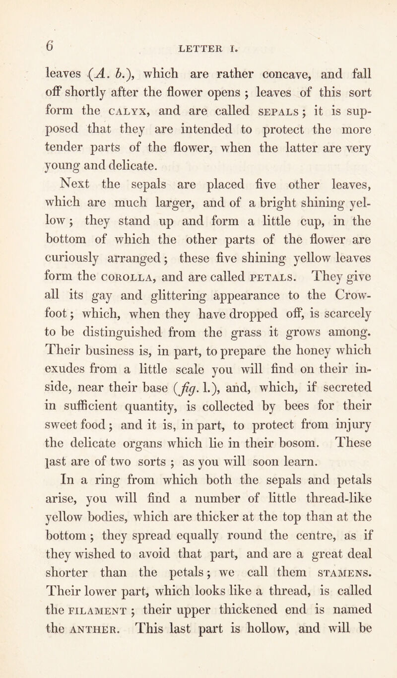 leaves (A, 6.), which are rather concave, and fall off shortly after the flower opens ; leaves of this sort form the calyx, and are called sepals ; it is sup¬ posed that they are intended to protect the more tender parts of the flower, when the latter are very young and delicate. Next the sepals are placed five other leaves, which are much larger, and of a bright shining yel¬ low ; they stand up and form a little cup, in the bottom of which the other parts of the flower are curiously arranged; these five shining yellow leaves form the corolla, and are called petals. They give all its gay and glittering appearance to the Crow¬ foot \ which, when they have dropped off, is scarcely to be distinguished from the grass it grows among. Their business is, in part, to prepare the honey which exudes from a little scale you will find on their in» side, near their base (fig. 1.), and, which, if secreted in sufficient quantity, is collected by bees for their sweet food; and it is, in part, to protect from injury the delicate organs which lie in their bosom. These last are of two sorts ; as you will soon learn. In a ring from which both the sepals and petals arise, you will find a number of little thread-like yellow bodies, which are thicker at the top than at the bottom ; they spread equally round the centre, as if they wished to avoid that part, and are a great deal shorter than the petals; we call them stamens. Their lowrer part, which looks like a thread, is called the filament j their upper thickened end is named the anther. This last part is hollow, and will be