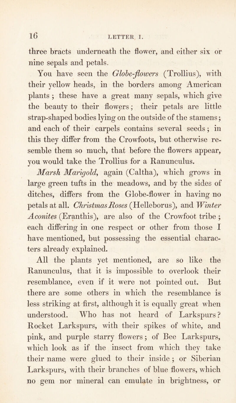 three bracts underneath the flower, and either six or nine sepals and petals. You have seen the Globe-flowers (Trollius), with their yellow heads, in the borders among American plants ; these have a great many sepals, which give the beauty to their flowers; their petals are little strap-shaped bodies lying on the outside of the stamens; and each of their carpels contains several seeds ; in this they differ from the Crowfoots, but otherwise re¬ semble them so much, that before the flowers appear, you would take the Trollius for a Ranunculus. Marsh Marigold, again (Caltha), which grows in large green tufts in the meadows, and by the sides of ditches, differs from the Globe-flower in having no petals at all. Christmas Roses (Helleborus), and Winter Aconites (Eranthis), are also of the Crowfoot tribe ; each differing in one respect or other from those I have mentioned, but possessing the essential charac¬ ters already explained. All the plants yet mentioned, are so like the Ranunculus, that it is impossible to overlook their resemblance, even if it were not pointed out. But there are some others in which the resemblance is less striking at first, although it is equally great when understood. Who has not heard of Larkspurs ? Rocket Larkspurs, with their spikes of white, and pink, and purple starry flowers; of Bee Larkspurs, which look as if the insect from which they take their name were glued to their inside ; or Siberian Larkspurs, with their branches of blue flowers, which no gem nor mineral can emulate in brightness, or