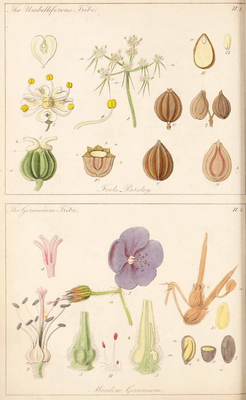 // J. ////V////V' ////. / - / // JO ■ Av'Z 'j/ . / y /j /ej/.