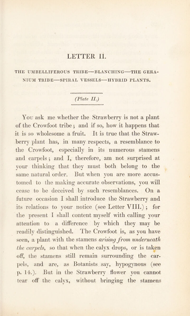 LETTER II. THE UMBELLIFEROUS TRIBE—BLANCHING — THE GERA* NIUM TRIBE-SPIRAL VESSELS—HYBRID PLANTS, (Plate II.) You ask me whether the Strawberry is not a plant of the Crowfoot tribe ; and if so, how it happens that it is so wholesome a fruit. It is true that the Straw¬ berry plant has, in many respects, a resemblance to the Crowfoot, especially in its numerous stamens and carpels ; and I, therefore, am not surprised at your thinking that they must both belong to the same natural order. But when you are more accus¬ tomed to the making accurate observations, you will cease to be deceived by such resemblances. On a future occasion I shall introduce the Strawberry and its relations to your notice (see Letter VIII.) ; for the present 1 shall content myself with calling your attention to a difference by which they may be readily distinguished. The Crowfoot is, as you have seen, a plant with the stamens arising from underneath the carpels, so that when the calyx drops, or is taken off, the stamens still remain surrounding the car¬ pels, and are, as Botanists say, hypogynous (see p. 14.). But in the Strawberry flower you cannot tear off the calyx, without bringing the stamens