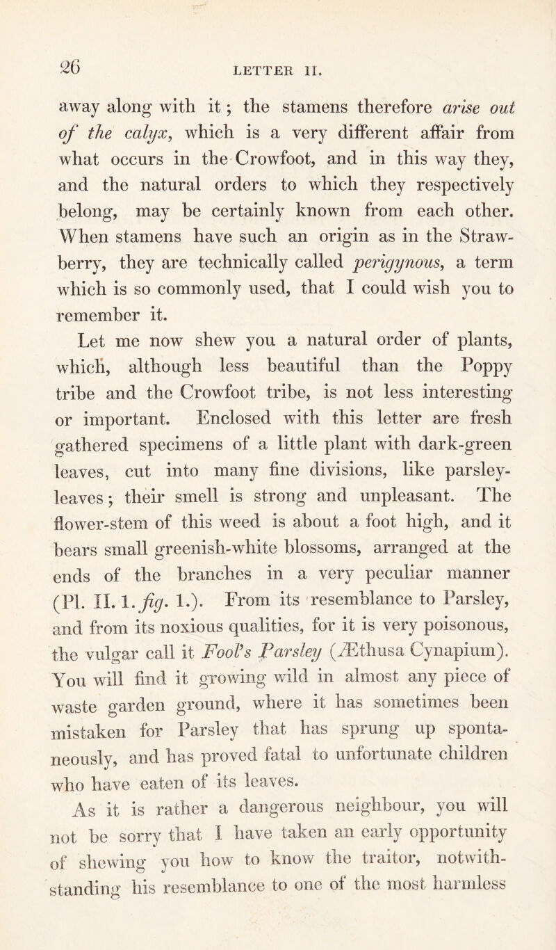 away along with it; the stamens therefore arise out of the calyx, which is a very different affair from what occurs in the Crowfoot, and in this way they, and the natural orders to which they respectively belong, may be certainly known from each other. When stamens have such an origin as in the Straw¬ berry, they are technically called perigynous, a term which is so commonly used, that I could wish you to remember it. Let me now shew you a natural order of plants, which, although less beautiful than the Poppy tribe and the Crowfoot tribe, is not less interesting or important. Enclosed with this letter are fresh gathered specimens of a little plant with dark-green leaves, cut into many fine divisions, like parsley- leaves ; their smell is strong and unpleasant. The flower-stem of this weed is about a foot high, and it bears small greenish-white blossoms, arranged at the ends of the branches in a very peculiar manner (PL II. 1 .fig. 1.). From its resemblance to Parsley, and from its noxious qualities, for it is very poisonous, the vulgar call it Fool’s Parsley (LEthusa Cynapium). You will find it growing wild in almost any piece of waste garden ground, where it has sometimes been mistaken for Parsley that has sprung up sponta¬ neously, and has proved fatal to unfortunate children who have eaten of its leaves. As it is rather a dangerous neighbour, you will not be sorry that I have taken an early opportunity of shewing you how to know the traitor, notwith¬ standing his resemblance to one of the most harmless
