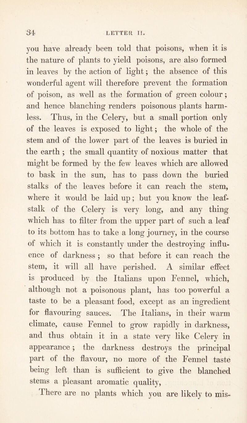 you have already been told that poisons, when it is the nature of plants to yield poisons, are also formed in leaves by the action of light; the absence of this wonderful agent will therefore prevent the formation of poison, as well as the formation of green colour; and hence blanching renders poisonous plants harm¬ less. Thus, in the Celery, but a small portion only of the leaves is exposed to light; the whole of the stem and of the lower part of the leaves is buried in the earth ; the small quantity of noxious matter that might be formed by the few leaves which are allowed to bask in the sun, has to pass down the buried stalks of the leaves before it can reach the stem, where it would be laid up; but you know the leaf¬ stalk of the Celery is very long, and any thing which has to filter from the upper part of such a leaf to its bottom has to take a long journey, in the course of which it is constantly under the destroying influ¬ ence of darkness ; so that before it can reach the stem, it will all have perished. A similar effect is produced by the Italians upon Fennel, which, although not a poisonous plant, has too powerful a taste to be a pleasant food, except as an ingredient for flavouring sauces. The Italians, in their warm climate, cause Fennel to grow rapidly in darkness, and thus obtain it in a state very like Celery in appearance; the darkness destroys the principal part of the flavour, no more of the Fennel taste being left than is sufficient to give the blanched stems a pleasant aromatic quality, There are no plants which you are likely to mis-