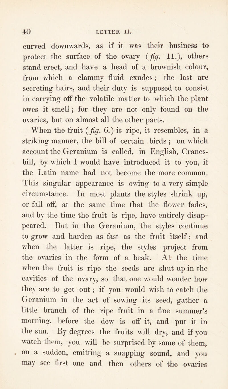 curved downwards, as if it was their business to protect the surface of the ovary {fig* 11.), others stand erect, and have a head of a brownish colour, from which a clamrnv fluid exudes; the last are secreting hairs, and their duty is supposed to consist in carrying off the volatile matter to which the plant owes it smell ; for they are not only found on the ovaries, but on almost all the other parts. When the fruit {fig* 6.) is ripe, it resembles, in a striking manner, the bill of certain birds ; on which account the Geranium is called, in English, Cranes- bill, by which I would have introduced it to you, if the Latin name had not become the more common. This singular appearance is owing to a very simple circumstance. In most plants the styles shrink up, or fall off, at the same time that the flower fades, and by the time the fruit is ripe, have entirely disap- peared. But in the Geranium, the styles continue to grow and harden as fast as the fruit itself; and when the latter is ripe, the styles project from the ovaries in the form of a beak. At the time when the fruit is ripe the seeds are shut up in the cavities of the ovary, so that one would wonder how they are to get out; if you would wish to catch the Geranium in the act of sowing its seed, gather a little branch of the ripe fruit in a fine summer’s morning, before the dew is off it, and put it in the sun. By degrees the fruits will dry, and if you watch them, you will be surprised by some of them, on a sudden, emitting a snapping sound, and you may see first one and then others of the ovaries