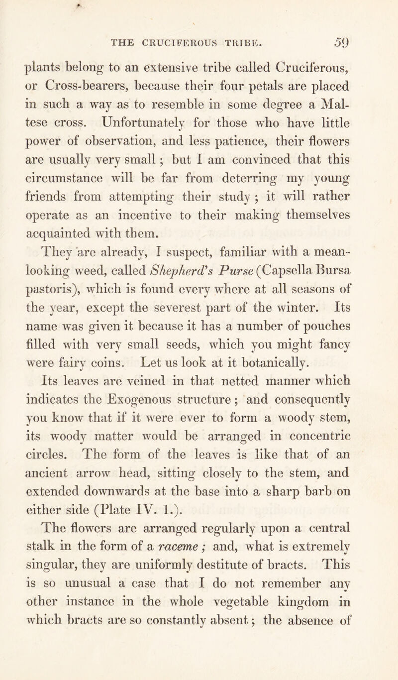 plants belong to an extensive tribe called Cruciferous, or Cross-bearers, because their four petals are placed in such a way as to resemble in some degree a Mal¬ tese cross. Unfortunately for those who have little power of observation, and less patience, their flowers are usually very small; but I am convinced that this circumstance will be far from deterring my young friends from attempting their study ; it will rather operate as an incentive to their making themselves acquainted with them. They are already, I suspect, familiar with a mean¬ looking weed, called Shepherd's Purse (Capsella Bursa pastoris), which is found every where at all seasons of the year, except the severest part of the winter. Its name was given it because it has a number of pouches filled with very small seeds, which you might fancy were fairy coins. Let us look at it botanically. Its leaves are veined in that netted manner which indicates the Exogenous structure; and consequently you know that if it were ever to form a woody stem, its woody matter would be arranged in concentric circles. The form of the leaves is like that of an ancient arrow head, sitting closely to the stem, and extended downwards at the base into a sharp barb on either side (Plate IV. 1.). The flowers are arranged regularly upon a central stalk in the form of a raceme ; and, what is extremely singular, they are uniformly destitute of bracts. This is so unusual a case that I do not remember any other instance in the whole vegetable kingdom in which bracts are so constantly absent; the absence of