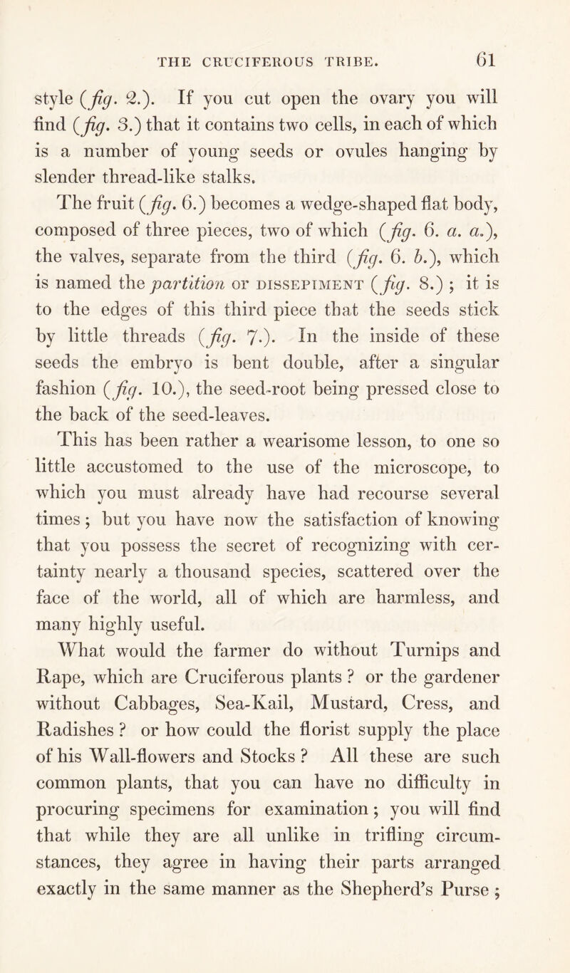 style (fig. L2.). If you cut open the ovary you will find (fig. 3.) that it contains two cells, in each of which is a number of young- seeds or ovules hanging by slender thread-like stalks. The fruit (fig. 6.) becomes a wedge-shaped flat body, composed of three pieces, two of which (fig. 6. a. a.), the valves, separate from the third (fig. 6. b.\ which is named the partition or dissepiment (fig. 8.) ; it is to the edges of this third piece that the seeds stick by little threads (fig. ?•)• the inside of these seeds the embryo is bent double, after a singular fashion (fig. 10.), the seed-root being pressed close to the back of the seed-leaves. This has been rather a wearisome lesson, to one so little accustomed to the use of the microscope, to which you must already have had recourse several times; but you have now the satisfaction of knowing that you possess the secret of recognizing with cer¬ tainty nearly a thousand species, scattered over the face of the world, all of which are harmless, and many highly useful. What would the farmer do without Turnips and Rape, which are Cruciferous plants ? or the gardener without Cabbages, Sea-Kail, Mustard, Cress, and Radishes ? or how could the florist supply the place of his Wall-flowers and Stocks ? All these are such common plants, that you can have no difficulty in procuring specimens for examination; you will find that while they are all unlike in trifling circum¬ stances, they agree in having their parts arranged exactly in the same manner as the Shepherd’s Purse ;