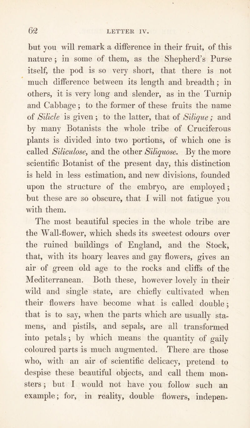 but you will remark a difference in their fruit, of this nature ; in some of them, as the Shepherd’s Purse itself, the pod is so very short, that there is not much difference between its length and breadth ; in others, it is very long and slender, as in the Turnip and Cabbage ; to the former of these fruits the name of Silicle is given ; to the latter, that of Silique; and by many Botanists the whole tribe of Cruciferous plants is divided into two portions, of which one is called Siliculose, and the other Siliquose. By the more scientific Botanist of the present day, this distinction is held in less estimation, and new divisions, founded upon the structure of the embryo, are employed; but these are so obscure, that I will not fatigue you with them. The most beautiful species in the whole tribe are the Wall-flower, which sheds its sweetest odours over the ruined buildings of England, and the Stock, that, with its hoary leaves and gay flowers, gives an air of green old age to the rocks and cliffs of the Mediterranean. Both these, however lovely in their wild and single state, are chiefly cultivated when their flowers have become what is called double; that is to say, when the parts which are usually sta¬ mens, and pistils, and sepals, are all transformed into petals; by which means the quantity of gaily coloured parts is much augmented. There are those who, with an air of scientific delicacy, pretend to despise these beautiful objects, and call them mon¬ sters ; but I would not have you follow such an example; for, in reality, double flowers, indepen-