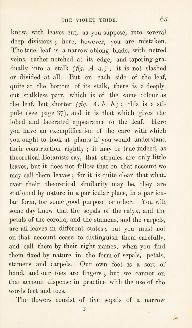 know, with leaves cut, as you suppose, into several deep divisions ; here, however, you are mistaken. The true leaf is a narrow oblong blade, with netted veins, rather notched at its edge, and tapering gra¬ dually into a stalk (fig. A. a.) ; it is not slashed or divided at all. But on each side of the leaf, quite at the bottom of its stalk, there is a deeply- cut stalkless part, which is of the same colour as the leaf, but shorter (fig. A. b. b.) ; this is a sti¬ pule (see page 37), and it is that which gives the lobed and lacerated appearance to the leaf. Here you have an exemplification of the care with which you ought to look at plants if you would understand their construction rightly ; it may be true indeed, as theoretical Botanists say, that stipules are only little leaves, hut it does not follow that on that account we may call them leaves; for it is quite clear that what¬ ever their theoretical similarity may be, they are stationed by nature in a particular place, in a particu¬ lar form, for some good purpose or other. You will some day know that the sepals of the calyx, and the petals of the corolla, and the stamens, and the carpels, are all leaves in different states ; but you must not on that account cease to distinguish them carefully, and call them by their right names, when you find them fixed by nature in the form of sepals, petals, stamens and carpels. Our own foot is a sort of hand, and our toes are fingers ; but we cannot on that account dispense in practice with the use of the words feet and toes. The flowers consist of five sepals of a narrow