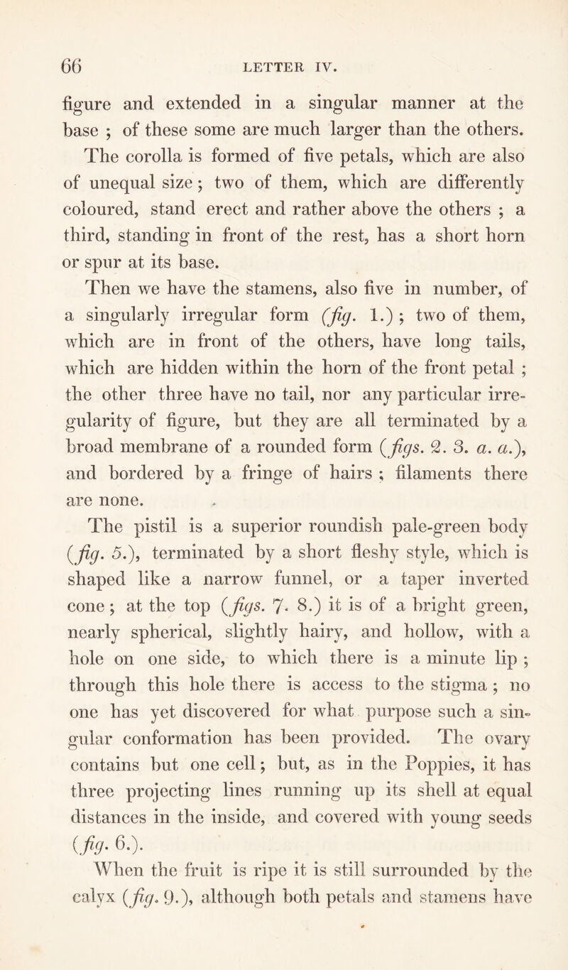 figure and extended in a singular manner at the base ; of these some are much larger than the others. The corolla is formed of five petals, which are also of unequal size ; two of them, which are differently coloured, stand erect and rather above the others ; a third, standing in front of the rest, has a short horn or spur at its base. Then we have the stamens, also five in number, of a singularly irregular form (jig. 1.) ; two of them, which are in front of the others, have long tails, which are hidden within the horn of the front petal ; the other three have no tail, nor any particular irre¬ gularity of figure, hut they are all terminated by a broad membrane of a rounded form (figs. 3. a. a.j and bordered by a fringe of hairs ; filaments there are none. The pistil is a superior roundish pale-green body (jig. 5.), terminated by a short fleshy style, which is shaped like a narrow funnel, or a taper inverted cone; at the top (jigs. 7- 8.) it is of a bright green, nearly spherical, slightly hairy, and hollow, with a hole on one side, to which there is a minute lip; through this hole there is access to the stigma ; no one has yet discovered for what purpose such a sin- gular conformation has been provided. The ovary contains but one cell; but, as in the Poppies, it has three projecting lines running up its shell at equal distances in the inside, and covered with young seeds {fig. 6.). When the fruit is ripe it is still surrounded by the calyx {jig. 9.)* although both petals and stamens have