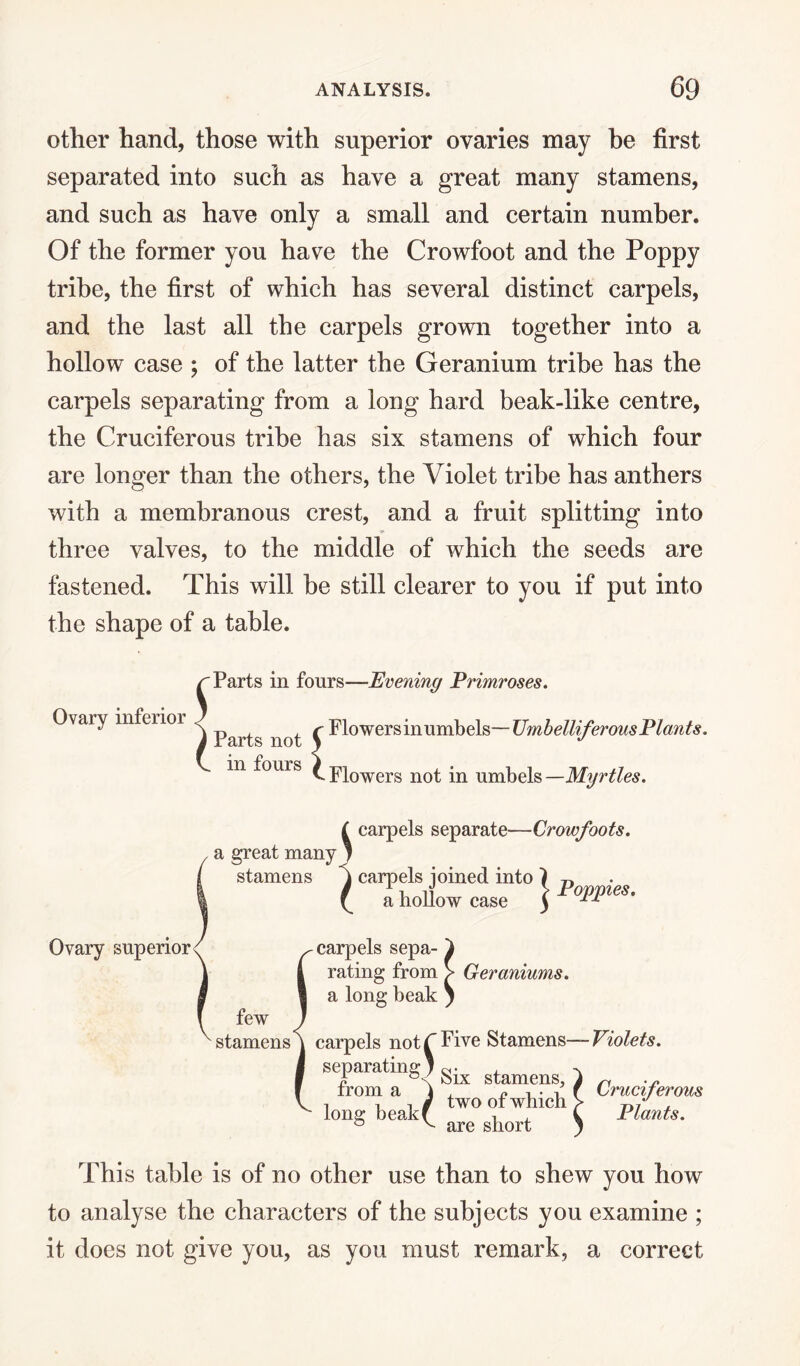 other hand, those with superior ovaries may be first separated into such as have a great many stamens, and such as have only a small and certain number. Of the former you have the Crowfoot and the Poppy tribe, the first of which has several distinct carpels, and the last all the carpels grown together into a hollow case ; of the latter the Geranium tribe has the carpels separating from a long hard beak-like centre, the Cruciferous tribe has six stamens of which four are longer than the others, the Violet tribe has anthers with a membranous crest, and a fruit splitting into three valves, to the middle of which the seeds are fastened. This will be still clearer to you if put into the shape of a table. Ovary inferior Parts in fours—Evening Primroses. t» , , r Flowers mumbels—Umbelliferous Plants. Parts not \ J in fours ^ piowers not in umbels —Myrtles. Ovary superior a great many stamens few stamens carpels separate—Crowfoots. carpels joined into ) „ 11 iV > Poppies. a hollow case ) 1 r carpels sepa¬ rating from a long beak Geraniums. carpels notT Five Stamens- separating; «• h !Six stamens, from a ) , « , . -v i ii# two ot which lone; beakf , ® v are short ■ Violets. Cruciferous Plants. This table is of no other use than to shew you how to analyse the characters of the subjects you examine ; it does not give you, as you must remark, a correct
