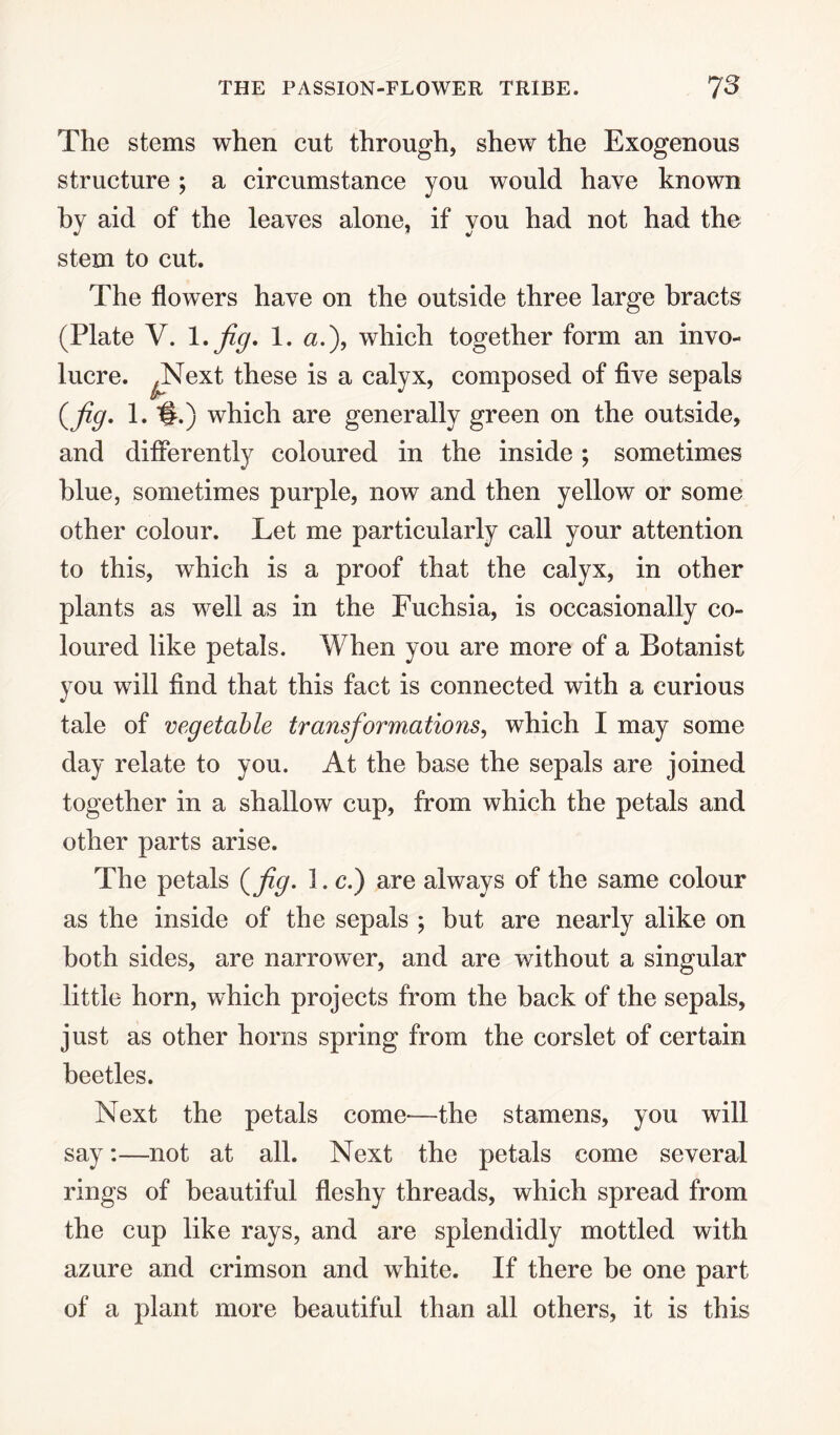 The stems when cut through, shew the Exogenous structure ; a circumstance you would have known by aid of the leaves alone, if you had not had the stem to cut. The flowers have on the outside three large bracts (Plate V. 1 .jig, 1. a.), which together form an invo¬ lucre. JNext these is a calyx, composed of five sepals ((fig. 1. §.) which are generally green on the outside, and differently coloured in the inside; sometimes blue, sometimes purple, now and then yellow or some other colour. Let me particularly call your attention to this, which is a proof that the calyx, in other plants as well as in the Fuchsia, is occasionally co¬ loured like petals. When you are more of a Botanist you will find that this fact is connected with a curious tale of vegetable transformations, which I may some day relate to you. At the base the sepals are joined together in a shallow cup, from which the petals and other parts arise. The petals (fig. 1. c.) are always of the same colour as the inside of the sepals ; but are nearly alike on both sides, are narrower, and are without a singular little horn, which projects from the back of the sepals, just as other horns spring from the corslet of certain beetles. Next the petals come—the stamens, you will say:—not at all. Next the petals come several rings of beautiful fleshy threads, which spread from the cup like rays, and are splendidly mottled with azure and crimson and white. If there be one part of a plant more beautiful than all others, it is this