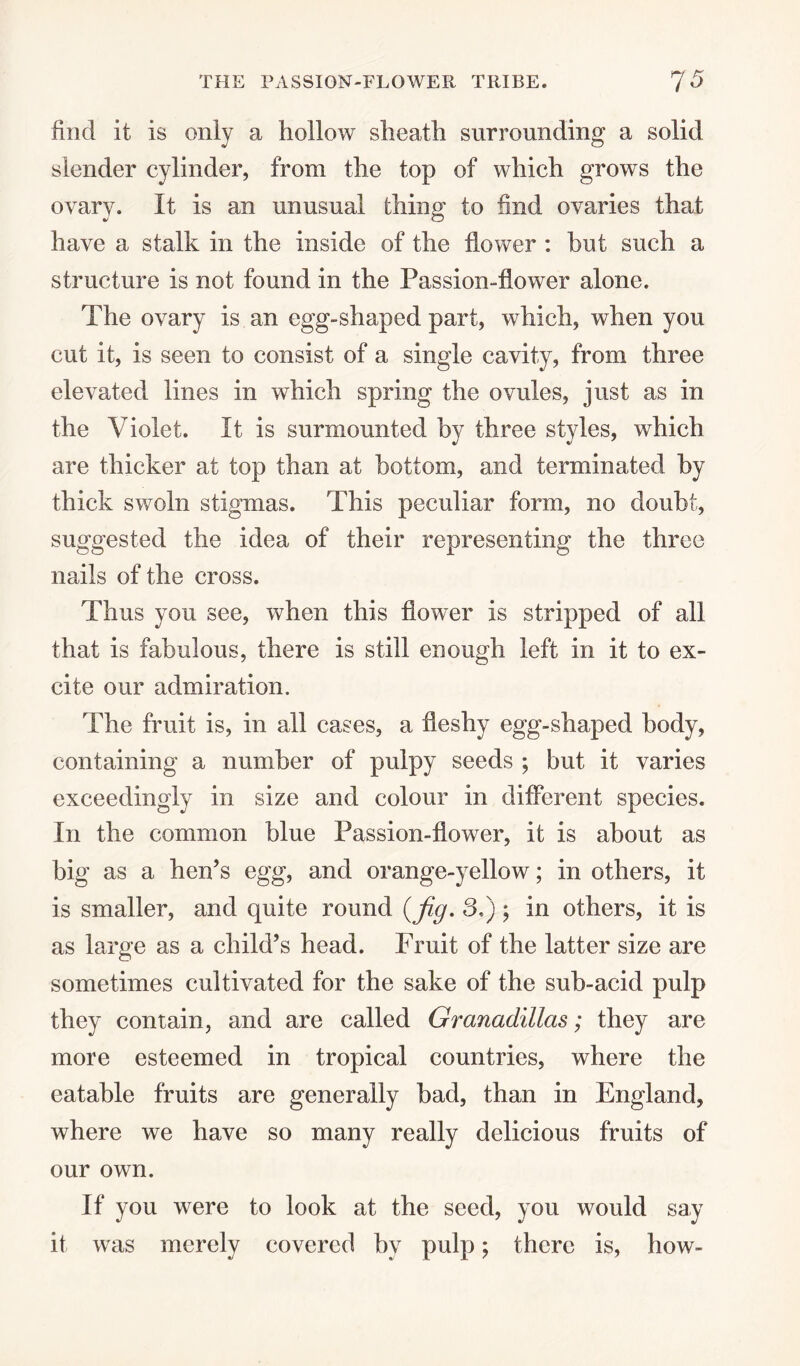 find it is only a hollow sheath surrounding a solid slender cylinder, from the top of which grows the ovary. It is an unusual thing to find ovaries that have a stalk in the inside of the flower : hut such a structure is not found in the Passion-flower alone. The ovary is an egg-shaped part, which, when you cut it, is seen to consist of a single cavity, from three elevated lines in which spring the ovules, just as in the Violet. It is surmounted by three styles, which are thicker at top than at bottom, and terminated by thick swoln stigmas. This peculiar form, no doubt, suggested the idea of their representing the three nails of the cross. Thus you see, when this flower is stripped of all that is fabulous, there is still enough left in it to ex¬ cite our admiration. The fruit is, in all cases, a fleshy egg-shaped body, containing a number of pulpy seeds ; but it varies exceedingly in size and colour in different species. In the common blue Passion-flower, it is about as big as a hen’s egg, and orange-yellow; in others, it is smaller, and quite round {fig. 3,); in others, it is as large as a child’s head. Fruit of the latter size are sometimes cultivated for the sake of the sub-acid pulp they contain, and are called Granadillas; they are more esteemed in tropical countries, where the eatable fruits are generally bad, than in England, where we have so many really delicious fruits of our own. If you were to look at the seed, you would say it was merely covered by pulp; there is, how-