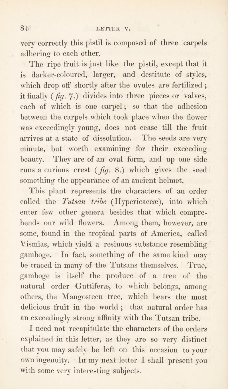 very correctly this pistil is composed of three carpels adhering to each other. The ripe fruit is just like the pistil, except that it is darker-coloured, larger, and destitute of styles, which drop off shortly after the ovules are fertilized ; it finally (fig. 7-) divides into three pieces or valves, each of which is one carpel; so that the adhesion between the carpels which took place when the flower was exceedingly young, does not cease till the fruit arrives at a state of dissolution. The seeds are verv J minute, but worth examining for their exceeding beauty. They are of an oval form, and up one side runs a curious crest (fig. 8.) which gives the seed something the appearance of an ancient helmet. This plant represents the characters of an order called the Tutsan tribe (Hypericacese), into which enter few other genera besides that which compre¬ hends our wild flowers. Among them, however, are some, found in the tropical parts of America, called Vismias, which yield a resinous substance resembling gamboge. In fact, something of the same kind may be traced in manv of the Tutsans themselves. True, gamboge is itself the produce of a tree of the natural order Guttiferse, to which belongs, among others, the Mangosteen tree, which bears the most delicious fruit in the world ; that natural order has an exceedingly strong affinity with the Tutsan tribe. I need not recapitulate the characters of the orders explained in this letter, as they are so very distinct that you may safely be left on this occasion to your own ingenuity. In my next letter I shall present you with some very interesting subjects.