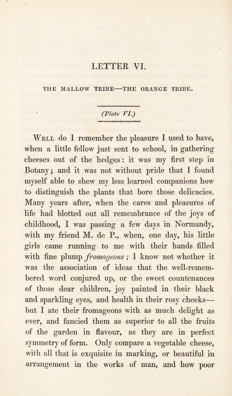 THE MALLOW TRIBE-—THE ORANGE TRIBE. (Plate VI.) Well do I remember the pleasure I used to have, when a little fellow just sent to school, in gathering cheeses out of the hedges: it was my first step in Botany; and it was not without pride that I found myself able to shew my less learned companions how to distinguish the plants that bore those delicacies. Many years after, when the cares and pleasures of life had blotted out all remembrance of the joys of childhood, I was passing a few days in Normandy, with my friend M. de P., when, one day, his little girls came running to me with their hands filled with fine plump fromageons; I know not whether it was the association of ideas that the well-remem¬ bered word conjured up, or the sweet countenances of those dear children, joy painted in their black and sparkling eyes, and health in their rosy cheeks— but I ate their fromageons with as much delight as ever, and fancied them as superior to all the fruits of the garden in flavour, as they are in perfect symmetry of form. Only compare a vegetable cheese, with all that is exquisite in marking, or beautiful in arrangement in the works of man, and how poor