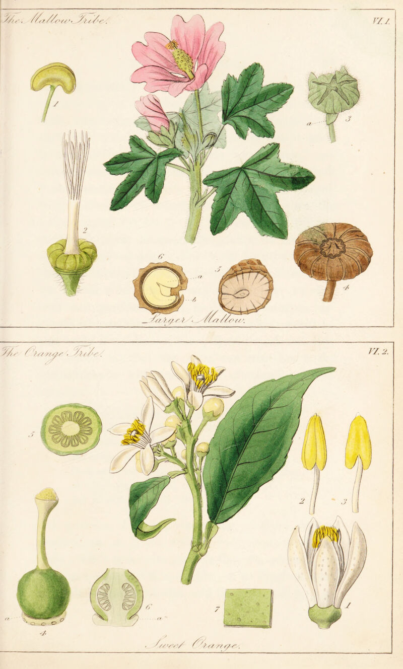 <r fto// s/ ///>// // w >'/ ^? s/ // s/ r