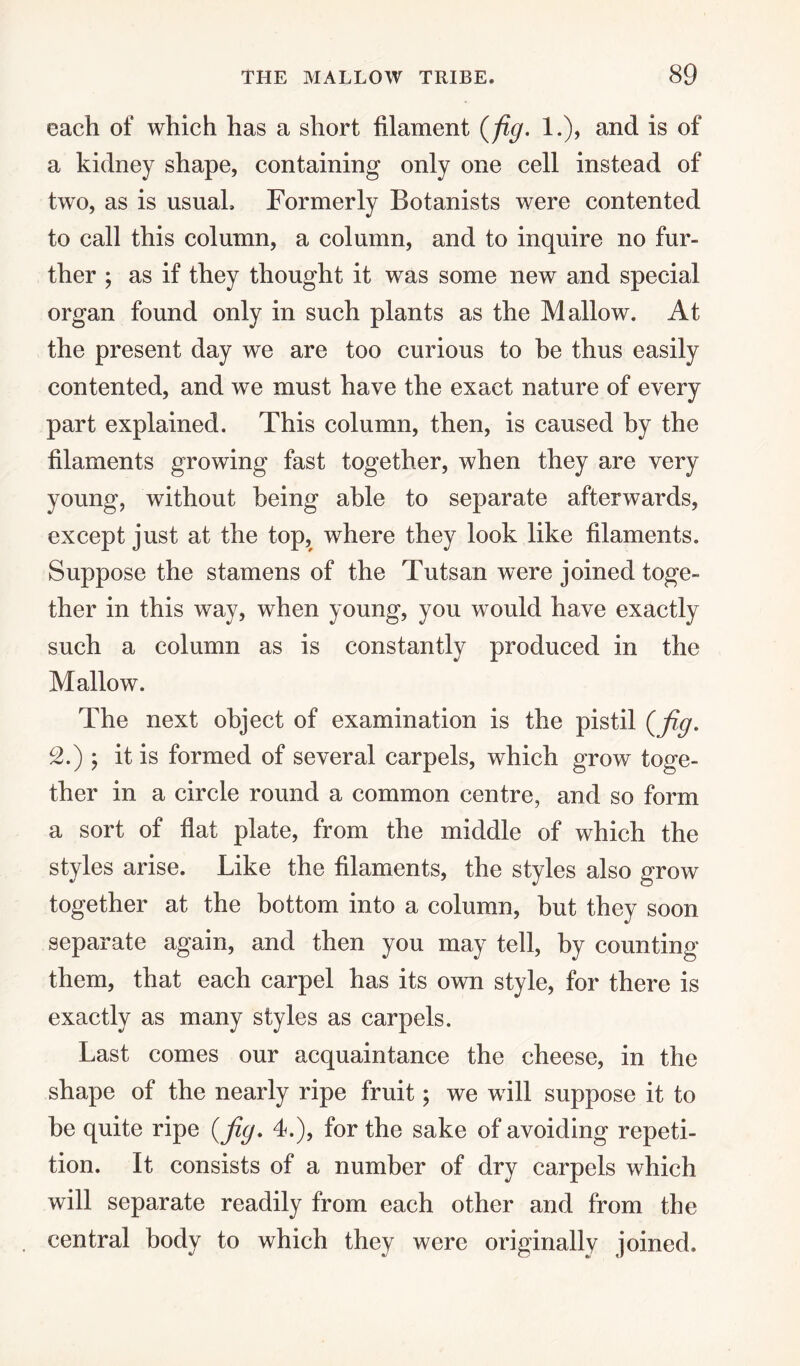 each of which has a short filament (fig. 1.), and is of a kidney shape, containing only one cell instead of two, as is usual. Formerly Botanists were contented to call this column, a column, and to inquire no fur¬ ther ; as if they thought it was some new and special organ found only in such plants as the Mallow. At the present day we are too curious to be thus easily contented, and we must have the exact nature of every part explained. This column, then, is caused by the filaments growing fast together, when they are very young, without being able to separate afterwards, except just at the top, where they look like filaments. Suppose the stamens of the Tutsan were joined toge¬ ther in this way, when young, you would have exactly such a column as is constantly produced in the Mallow. The next object of examination is the pistil (fig. 2.) , it is formed of several carpels, which grow toge¬ ther in a circle round a common centre, and so form a sort of flat plate, from the middle of which the styles arise. Like the filaments, the styles also grow together at the bottom into a column, but they soon separate again, and then you may tell, by counting them, that each carpel has its own style, for there is exactly as many styles as carpels. Last comes our acquaintance the cheese, in the shape of the nearly ripe fruit; we will suppose it to be quite ripe (fig. 4.), for the sake of avoiding repeti¬ tion. It consists of a number of dry carpels which will separate readily from each other and from the central body to which they were originally joined.