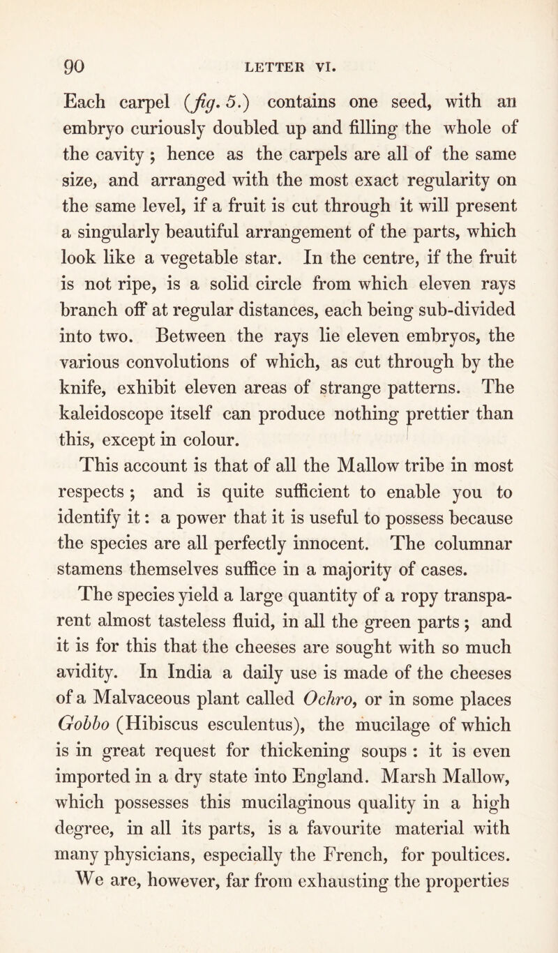Each carpel {fig. 5.) contains one seed, with an embryo curiously doubled up and filling the whole of the cavity ; hence as the carpels are all of the same size, and arranged with the most exact regularity on the same level, if a fruit is cut through it will present a singularly beautiful arrangement of the parts, which look like a vegetable star. In the centre, if the fruit is not ripe, is a solid circle from which eleven rays branch off at regular distances, each being sub-divided into two. Between the rays lie eleven embryos, the various convolutions of which, as cut through by the knife, exhibit eleven areas of strange patterns. The kaleidoscope itself can produce nothing prettier than this, except in colour. This account is that of all the Mallow tribe in most respects ; and is quite sufficient to enable you to identify it: a power that it is useful to possess because the species are all perfectly innocent. The columnar stamens themselves suffice in a majority of cases. The species yield a large quantity of a ropy transpa¬ rent almost tasteless fluid, in all the green parts ; and it is for this that the cheeses are sought with so much avidity. In India a daily use is made of the cheeses of a Malvaceous plant called Ochro, or in some places Gobbo (Hibiscus esculentus), the mucilage of which is in great request for thickening soups : it is even imported in a dry state into England. Marsh Mallow, which possesses this mucilaginous quality in a high degree, in all its parts, is a favourite material with many physicians, especially the French, for poultices. We are, however, far from exhausting the properties
