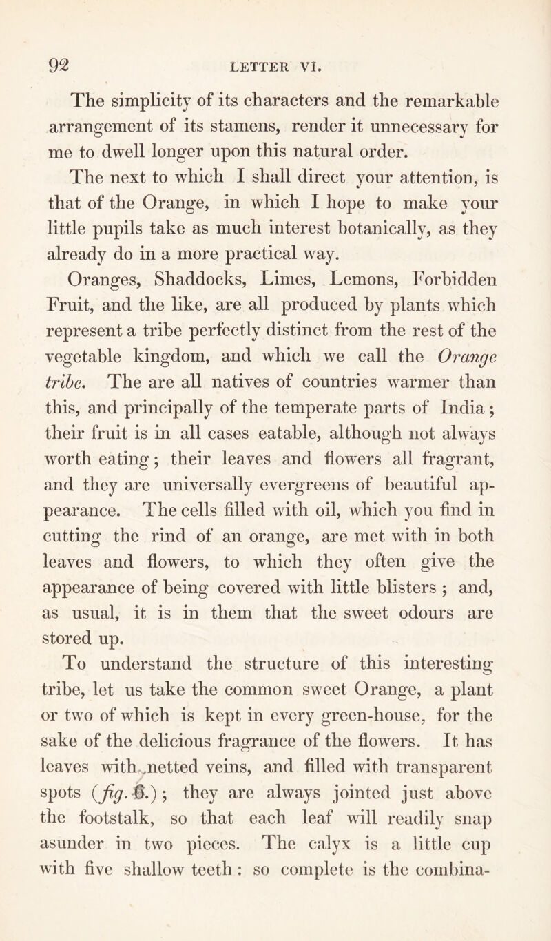The simplicity of its characters and the remarkable arrangement of its stamens, render it unnecessary for me to dwell longer upon this natural order. The next to which I shall direct your attention, is that of the Orange, in which I hope to make your little pupils take as much interest botanically, as they already do in a more practical way. Oranges, Shaddocks, Limes, Lemons, Forbidden Fruit, and the like, are all produced by plants which represent a tribe perfectly distinct from the rest of the vegetable kingdom, and which we call the Orange tribe. The are all natives of countries warmer than this, and principally of the temperate parts of India; their fruit is in all cases eatable, although not always worth eating; their leaves and flowers all fragrant, and they are universally evergreens of beautiful ap¬ pearance. The cells filled with oil, which you find in cutting the rind of an orange, are met with in both leaves and flowers, to which they often give the appearance of being covered with little blisters ; and, as usual, it is in them that the sweet odours are stored up. To understand the structure of this interesting tribe, let us take the common sweet Orange, a plant or two of which is kept in every green-house, for the sake of the delicious fragrance of the flowers. It has leaves wdtbunetted veins, and filled with transparent spots {fig. #.); they are always jointed just above the footstalk, so that each leaf will readily snap asunder in two pieces. The calyx is a little cup with five shallow teeth : so complete is the combina-