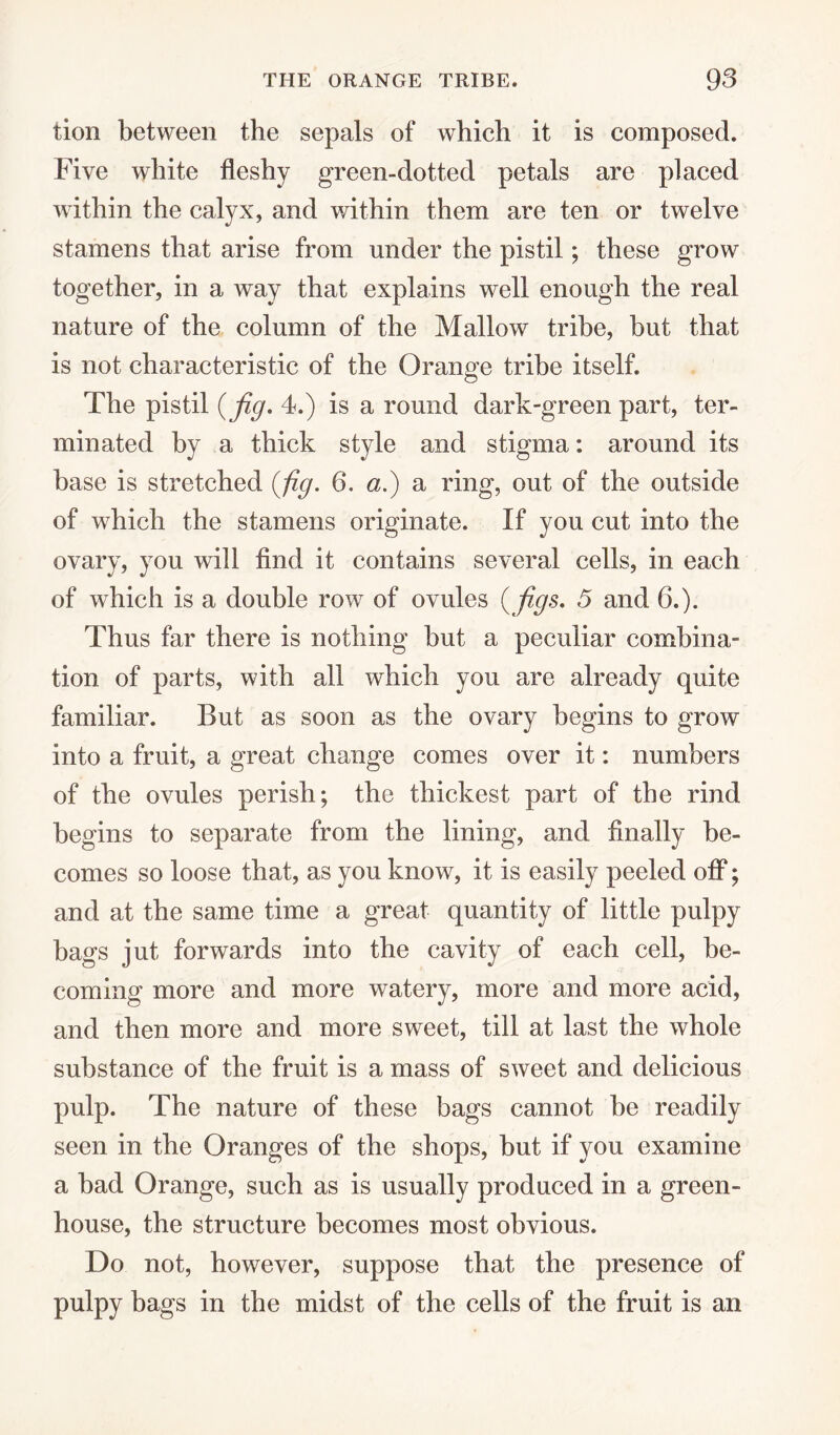 tion between the sepals of which it is composed. Five white fleshy green-dotted petals are placed within the calyx, and within them are ten or twelve stamens that arise from under the pistil; these grow together, in a way that explains well enough the real nature of the column of the Mallow tribe, but that is not characteristic of the Orange tribe itself. The pistil (fig* 4.) is a round dark-green part, ter¬ minated by a thick style and stigma: around its base is stretched {fig. 6. a.) a ring, out of the outside of which the stamens originate. If you cut into the ovary, you will find it contains several cells, in each of which is a double row of ovules {figs. 5 and 6.). Thus far there is nothing but a peculiar combina¬ tion of parts, with all which you are already quite familiar. But as soon as the ovary begins to grow into a fruit, a great change comes over it: numbers of the ovules perish; the thickest part of the rind begins to separate from the lining, and finally be¬ comes so loose that, as you know, it is easily peeled off; and at the same time a great quantity of little pulpy bags jut forwards into the cavity of each cell, be¬ coming more and more watery, more and more acid, and then more and more sweet, till at last the whole substance of the fruit is a mass of sweet and delicious pulp. The nature of these bags cannot be readily seen in the Oranges of the shops, but if you examine a bad Orange, such as is usually produced in a green¬ house, the structure becomes most obvious. Do not, however, suppose that the presence of pulpy bags in the midst of the cells of the fruit is an