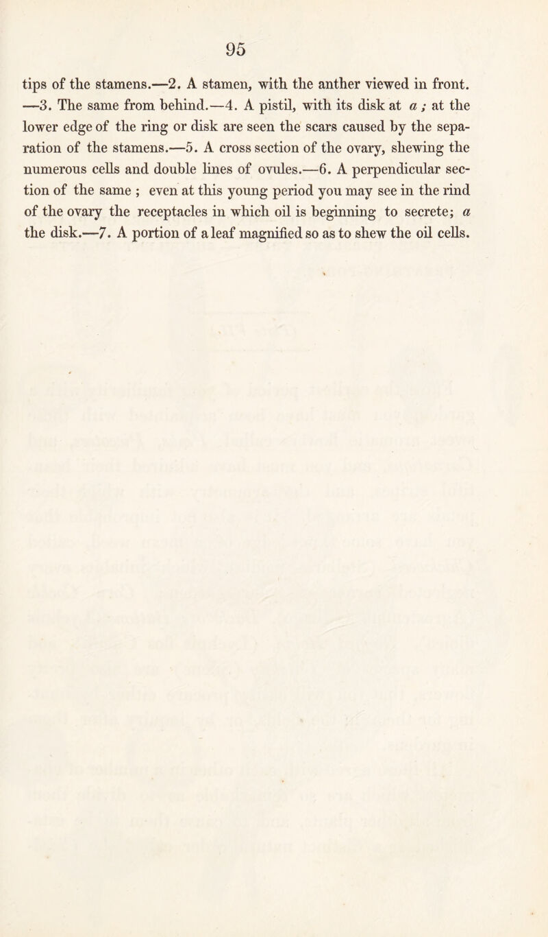 tips of the stamens.—2. A stamen, with the anther viewed in front. —-3. The same from behind.—4. A pistil, with its disk at a ; at the lower edge of the ring or disk are seen the scars caused by the sepa¬ ration of the stamens.—5. A cross section of the ovary, shewing the numerous cells and double lines of ovules.—6. A perpendicular sec¬ tion of the same ; even at this young period you may see in the rind of the ovary the receptacles in which oil is beginning to secrete; a the disk.—7. A portion of a leaf magnified so as to shew the oil cells.