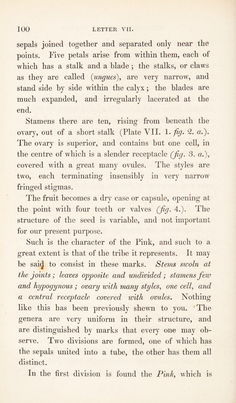 sepals joined together and separated only near the points. Five petals arise from within them, each of which has a stalk and a blade ; the stalks, or claws as they are called (ungues), are very narrow, and stand side by side within the calyx; the blades are much expanded, and irregularly lacerated at the end. Stamens there are ten, rising from beneath the ovary, out of a short stalk (Plate VII. 1 -fig* «•)• The ovary is superior, and contains but one cell, in the centre of which is a slender receptacle (jig. 3. a.), covered with a great many ovules. The styles are two, each terminating insensibly in very narrow fringed stigmas. The fruit becomes a dry case or capsule, opening at the point with four teeth or valves (jig. 4.). The structure of the seed is variable, and not important for our present purpose. Such is the character of the Pink, and such to a great extent is that of the tribe it represents. It may be sai<| to consist in these marks. Stems swoln at the joints; leaves opposite and undivided; stamens few and hypogynous ; ovary with many styles, one cell, and a central receptacle covered with ovules. Nothing like this has been previously shewn to you. The genera are very uniform in their structure, and are distinguished by marks that every one may ob¬ serve. Two divisions are formed, one of which has the sepals united into a tube, the other has them all distinct. In the first division is found the Pink, which is