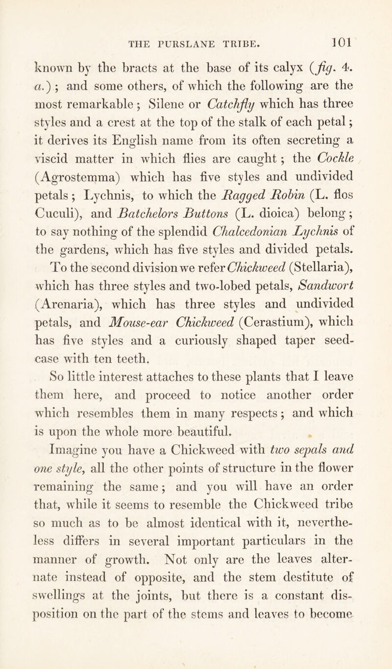 known by tlie bracts at the base of its calyx (jig. 4. a.) ; and some others, of which the following are the most remarkable ; Silene or Catchjiy which has three styles and a crest at the top of the stalk of each petal; it derives its English name from its often secreting a viscid matter in which flies are caught ; the Cockle (Agrostemma) which has five styles and undivided petals ; Lychnis, to which the Ragged Robin (L. flos Cuculi), and Batchelors Buttons (L. dioica) belong; to say nothing of the splendid Chalcedonian Lychnis of the gardens, which has five styles and divided petals. To the second division we refer Chickweed (Stellaria), which has three styles and twodobed petals, Sandwort (Arenaria), which has three styles and undivided petals, and Mouse-ear Chickweed (Cerastium), which has five styles and a curiously shaped taper seed- case with ten teeth. So little interest attaches to these plants that I leave them here, and proceed to notice another order which resembles them in many respects; and which is upon the whole more beautiful. Imagine you have a Chickweed with two sepals and one style, all the other points of structure in the flower remaining the same; and you will have an order that, while it seems to resemble the Chickweed tribe so much as to be almost identical with it, neverthe¬ less differs in several important particulars in the manner of growth. Not only are the leaves alter¬ nate instead of opposite, and the stem destitute of swellings at the joints, but there is a constant dis¬ position on the part of the stems and leaves to become