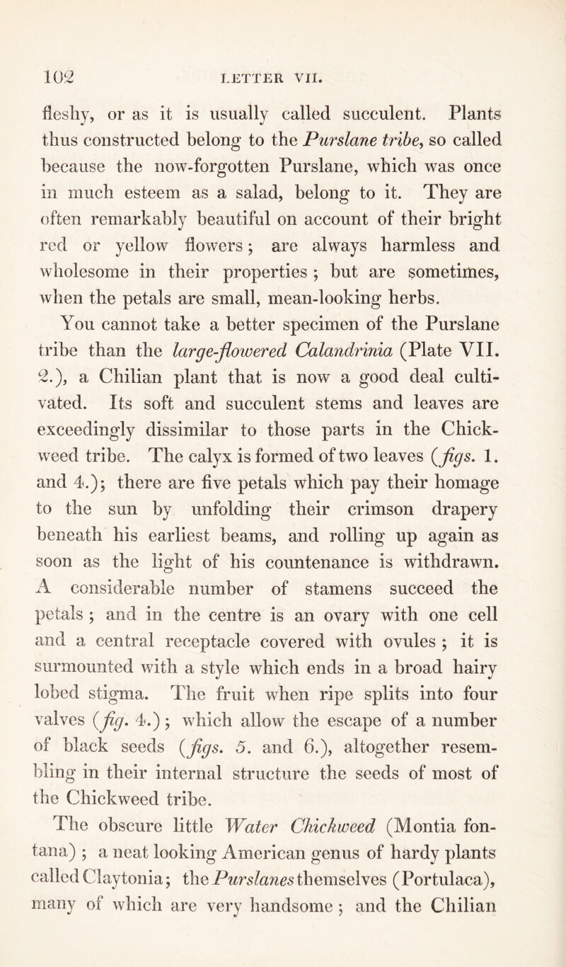 fleshy, or as it is usually called succulent. Plants thus constructed belong to the Purslane tribe, so called because the now-forgotten Purslane, which was once in much esteem as a salad, belong to it. They are often remarkably beautiful on account of their bright red or yellow flowers; are always harmless and wholesome in their properties ; but are sometimes, when the petals are small, mean-looking herbs. You cannot take a better specimen of the Purslane tribe than the large-floivered Calandrinia (Plate VII. 2.), a Chilian plant that is now a good deal culti¬ vated. Its soft and succulent stems and leaves are exceedingly dissimilar to those parts in the Chick- weed tribe. The calyx is formed of two leaves {figs. 1. and 4.); there are five petals which pay their homage to the sun by unfolding their crimson drapery beneath his earliest beams, and rolling up again as soon as the light of his countenance is withdrawn. A considerable number of stamens succeed the petals ; and in the centre is an ovary with one cell and a central receptacle covered with ovules ; it is surmounted with a style which ends in a broad hairy lobed stigma. The fruit when ripe splits into four valves {fig. 4.); which allow the escape of a number of black seeds {figs. 5. and 6.), altogether resem¬ bling in their internal structure the seeds of most of the Chickweed tribe. The obscure little Water Chickweed (Montia fon- tana) ; a neat looking American genus of hardy plants called Clay tonia; the Purslanes themselves ( Portulaca), many of which are very handsome ; and the Chilian
