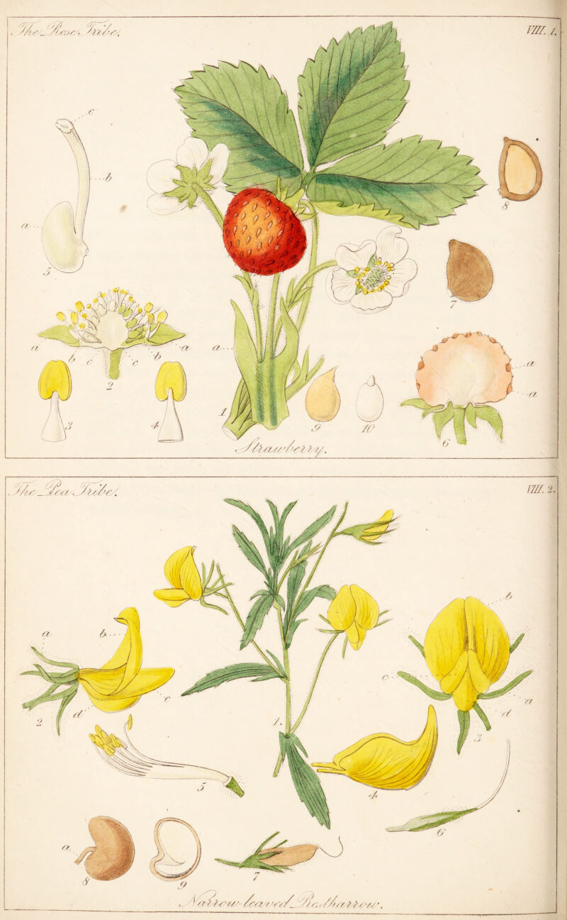 t'O/U sr'/1, /// //v/ / v x