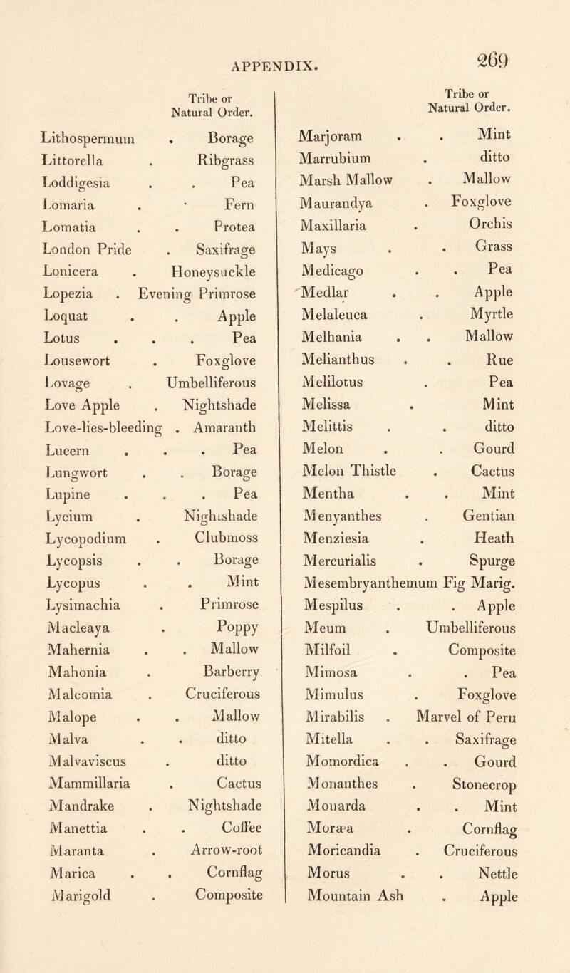 2G9 Tribe or Natural Order. . Borage Ribgrass . Pea Fern . Protea Saxifrage . Honeysuckle Evening Primrose O Apple , Pea Foxglove Lithospermum Littorella Loddigesia Lorn aria Lomatia London Pride Lonicera Lopezia Loquat Lotus Lousewort Lovage . Umbelliferous Love Apple . Nightshade Love-lies-bleeding . Amaranth Lucent . . .Pea Lungwort . . Borage Lupine . . . Pea Lycium . Nightshade Lycopodium . Clubmoss Lycopsis . . Borage Ly copus . . Mint Lysimachia . P rimrose Macleaya . Poppy Mahernia . . Mallow Mahonia . Barberry Malcomia . Cruciferous Malope . . Mallow Malva . . ditto Malvaviscus . ditto Mammillaria . Cactus Mandrake . Nightshade Manettia . . Coffee Maranta . Arrow-root Marica . . Cornflag Marigold . Composite Marjoram Marrubium Marsh Mallow Maurandya Maxillaria M ays Medicago Medlar Melaleuca Melhania Melianthus Melilotus Melissa Melittis Melon Melon Thistle Mentha M enyanthes Menziesia Mercurialis Tribe or Natural Order. Mint . ditto . M allow . Foxglove Orchis . Grass . Pea . Apple Myrtle . Mallow . Rue . Pea Mint . ditto Gourd . Cactus . Mint Gentian Heath Spurge Mesembryanthemum Fig Marig. Mespilus . . Apple Meum . Umbelliferous Milfoil . Composite Mimosa . . Pea Mimulus . Foxglove Mirabilis . Marvel of Peru Mitella . . Saxifrage Momordica . . Gourd Monanthes . Stonecrop Mouarda . . Mint Morava . Cornflag Moricandia . Cruciferous Morus . . Nettle Mountain Ash . Apple