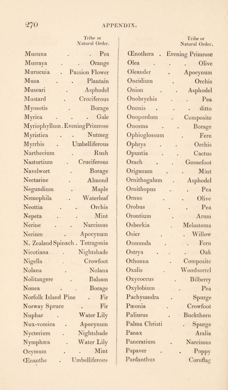 Tribe or Natural Order. Mucuna » Pea Murray a Orange 0 Murucuia Passion Flower Musa e Plantain Muscari Asphodel Mustard Cruciferous Myosotis • Borage Myrica J • . Gale Myriophyllum. EveningPrimrose Myristica Nutmeg Myrrh is Umbelliferous Narthecium • Rush Nasturtium Cruciferous Navelwort • Borage Nectarine • Almond Negundium • Maple Nemophila • Waterleaf Neottia < , Orchis NeDeta 1 . Mint Nerine • Narcissus Nerium Apocynum N. Zealand Spinach . Tetragonia Nicotiana Nightshade Nigella Crowfoot Nolan a Nolan a Nolitangere • Balsam Nonea Borage Norfolk Island Pine . Fir Norway Spruce Fir Nuphar Water Lily Nux-vomica Apocynum Nycterium Nightshade Nymphaea Water Lily Ocymum Mint CEnantlie Umbelliferous Tribe or Natural Order, CE no tli era , Evening Primrose Olea . . Olive Oleander . Apocynum Oncidium . Orchis Onion . Asphodel Onobrychis . . Pea Ononis . . ditto Onopordum Composite Onosma . Borage Ophioglossum . Fern Ophrys . Orchis Opuntia Cactus Orach . Goosefoot Origanum . . Mint Ornithogalum . Asphodel Ornithopus Pea Ornus . Olive Orobus . . Pea Orontium . Arum Osbeckia Melastoma Osier . Willow Osmunda , . Fern Ostrya Oak Othonna Composite Oxalis Wood sorrel Oxycoccus . Bilberry Oxylobium . Pea Pachysandra j . Spurge Peeonia . Crowfoot Paliurus . Buckthorn Palma Christi . Spurge Panax Aralia Pancratium . Narcissus Pap aver . Poppy Pardanthus Corn flag