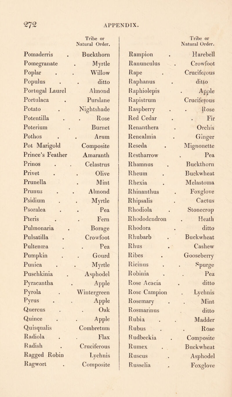 Pomaderris Tribe or Natural Order. Buckthorn Pomegranate . Myrtle Poplar Willow Populus . ditto Portugal Laurel Almond Portulaca Purslane Potato Nightshade Potentilla . Rose Poterium Burnet Pothos . Arum Pot Marigold Composite Prince’s Feather Amaranth Prin os Celastrus Privet . Olive Prunella . Mint Prunus . Almond Psidium . Myrtle Psoralea . Pea Pteris . Fern Puhnonaria Borage Pulsatilla Crowfoot Pultensea . Pea Pumpkin . Gourd Punica . Myrtle Puschkinia Asphodel Pyracantha . A pple Pyrola Wintergreen Pyrus Apple Quercus Oak Quince Apple Qui squalis Combretum Radiola Flax Radish Cruciferous Ragged Robin Lychnis Ragwort Composite Tribe or Rampion Natural Order. H arebell Ranunculus Crowfoot Rape Cruciferous Raphanus ditto Raphiolepis Apple Rapistrum Cruciferous Raspberry . flose Red Cedar Fir Renanthera Orchis Renealmia Ginger Reseda Mignonette Restharrow . Pea Rhamnus Buckthorn Rheum Buckwheat Rhexia Melastoma Rhinanthus Foxglove Rhipsalis Cactus Rhodiola Stonecrop Rhododendron . H eath Rhodora ditto Rhubarb Buckwheat Rhus Cashew Ribes Gooseberry Ricinus . Spurge R obinia Pea Rose Acacia . ditto Rose Campion Lychnis Rosemary Mint Rosmarinus ditto Rubia Madder Rubus . Rose Rudbeckia Composite i Rumex Buckwheat Ruscus Asphodel Russelia Foxglove