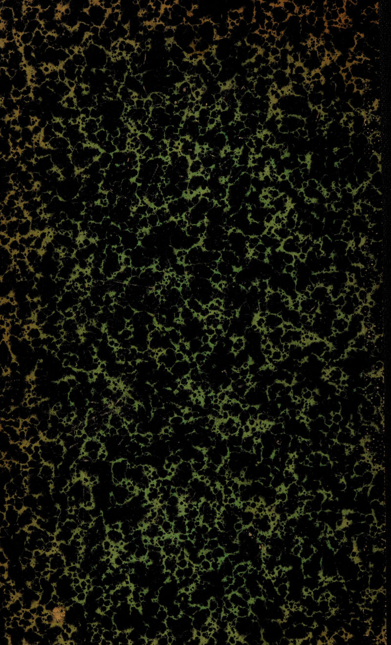 rvv. % Wt i ; ‘ 1P|| sr~ -r- > \i* t '';' '* *9 ” !P l* -Jr* Jr -< \ . •'■V*.# «!p ■*. F' , r ^ y , . - i at w ^ mfY .»}- -» 7 FY ; •, m J Vi ' f V- * kl’ 'i Jf ' k ^ f 4 ih,'. ,> j Yt *m j. '4 -r F*^ V* ' / Jikj[ >&. , ,} s 1 [ ,•«• . r ^ . A y /. v V 1 . A ' jr r '■ . JrT \ 1 ir 1 ' _ \ i*-- pjjÉTJ ' . vi