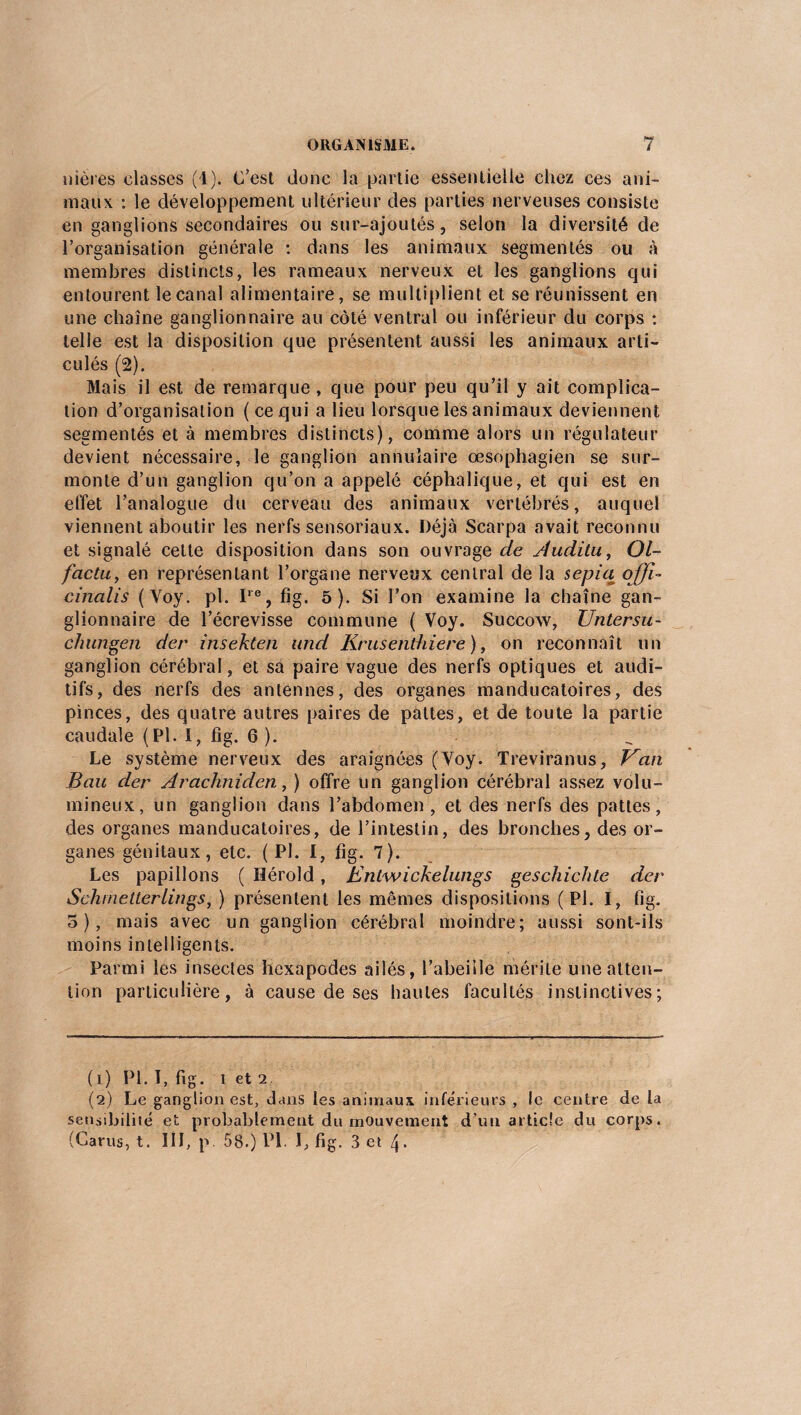 niëres classes (1). C'est donc la partie essentielle chez ces ani¬ maux : le développement ultérieur des parties nerveuses consiste en ganglions secondaires ou sur-ajoutés, selon la diversité de l’organisation générale : dans les animaux segmentés ou à membres distincts, les rameaux nerveux et les ganglions qui entourent le canal alimentaire, se multiplient et se réunissent en une chaîne ganglionnaire au côté ventral ou inférieur du corps : telle est la disposition que présentent aussi les animaux arti¬ culés (2). Mais il est de remarque, que pour peu qu’il y ait complica¬ tion d’organisation ( ce qui a lieu lorsque les animaux deviennent segmentés et à membres distincts), comme alors un régulateur devient nécessaire, le ganglion annulaire œsophagien se sur¬ monte d’un ganglion qu’on a appelé céphalique, et qui est en effet l’analogue du cerveau des animaux vertébrés, auquel viennent aboutir les nerfs sensoriaux. Déjà Scarpa avait reconnu et signalé celte disposition dans son ouvrage de studitu, Ol- factu, en représentant l’organe nerveux central de la sepiq ojji- cinalis (Voy. pl. Ire, fig. 5). Si l’on examine la chaîne gan¬ glionnaire de l’écrevisse commune ( Voy. Succow, Untersu- chungen der insekten und Krusenthiere ), on reconnaît un ganglion cérébral, et sa paire vague des nerfs optiques et audi¬ tifs, des nerfs des antennes, des organes manducatoires, des pinces, des quatre autres paires de pattes, et de toute la partie caudale (Pl. I, fig. 6 ). Le système nerveux des araignées (Voy. Treviranus, Kan Bau der Arachniden, ) offre un ganglion cérébral assez volu¬ mineux, un ganglion dans l’abdomen , et des nerfs des pattes, des organes manducatoires, de l’intestin, des bronches, des or¬ ganes génitaux, etc. ( Pl. I, fig. 7). Les papillons ( Hérold, Bnlwickelungs geschichte der Schmetterlings, ) présentent les mêmes dispositions (Pl. I, fig. 5), mais avec un ganglion cérébral moindre; aussi sont-ils moins intelligents. Parmi les insectes hexapodes ailés, l’abeille mérite une atten¬ tion particulière, à cause de ses hautes facultés instinctives; (1) Pl. 1, fig. i et 2 (2) Le ganglion est, dans les animaux inférieurs , le centre de la sensibilité et probablement du mouvement d’un article du corps. (Garus, t. III, p 58.) Pl. I, fig. 3 et 4.