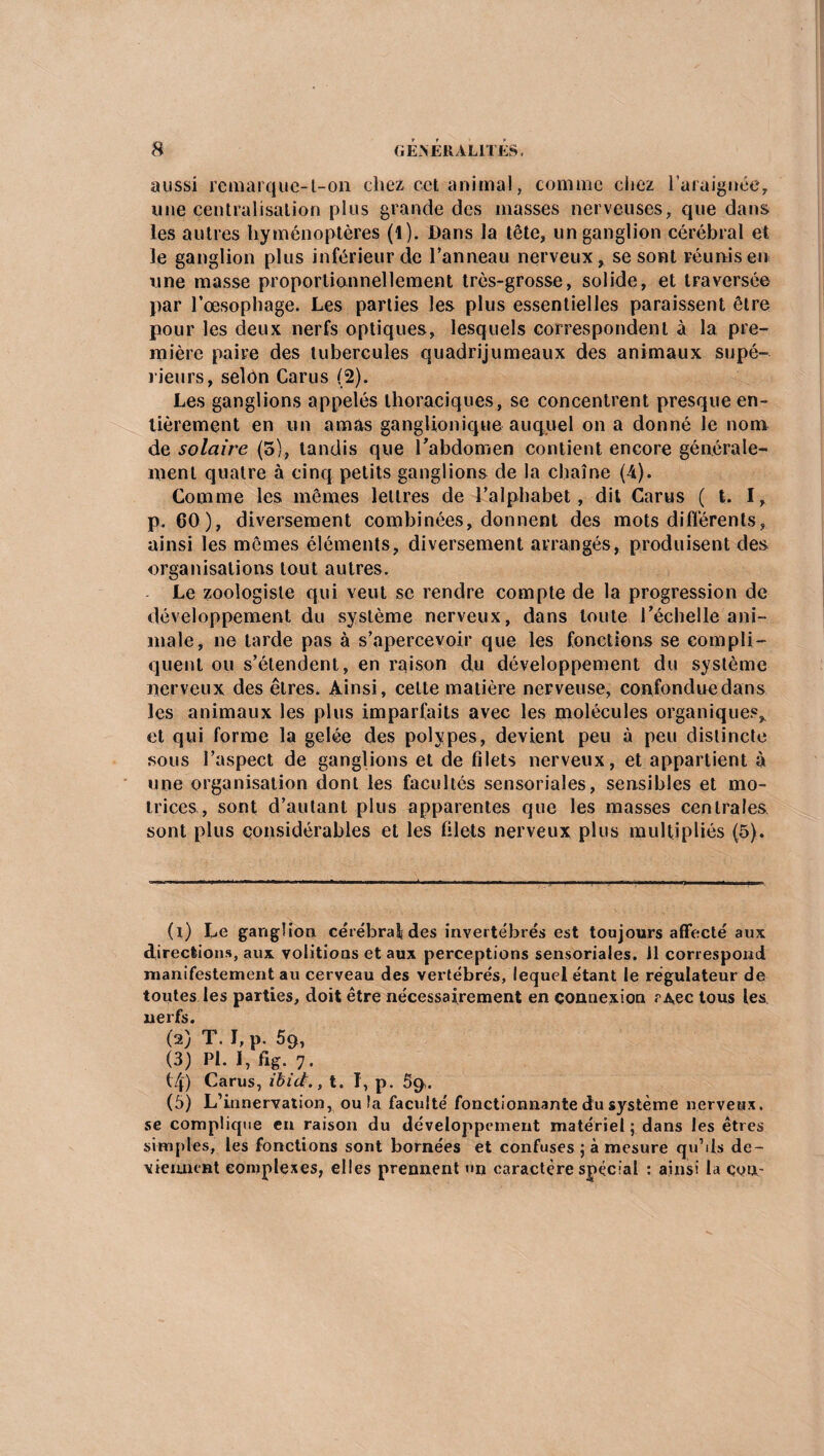 aussi remarque-t-on chez cet animal, comme chez l'araignée, une centralisation plus grande des masses nerveuses, que dans les autres hyménoptères (l). Dans la tête, un ganglion cérébral et le ganglion plus inférieur de l’anneau nerveux, se sont réunis en une masse proportionnellement très-grosse, solide, et traversée par l’oesophage. Les parties les plus essentielles paraissent être pour les deux nerfs optiques, lesquels correspondent à la pre¬ mière paire des tubercules quadrijumeaux des animaux supé¬ rieurs, selon Carus (2). Les ganglions appelés thoraciques, se concentrent presque en¬ tièrement en un amas ganglionique auquel on a donné le nom de solaire (5), tandis que l'abdomen contient encore générale¬ ment quatre à cinq petits ganglions de la chaîne (A). Comme les mêmes lettres de l’alphabet, dit Carus ( t. I, p. 60), diversement combinées, donnent des mots différents, ainsi les mêmes éléments, diversement arrangés, produisent des organisations tout autres. Le zoologiste qui veut se rendre compte de la progression de développement du système nerveux, dans toute l’échelle ani¬ male, ne tarde pas à s’apercevoir que les fonctions se compli¬ quent ou s’étendent, en raison du développement du système nerveux des êtres. Ainsi, celte matière nerveuse, confonduedans les animaux les plus imparfaits avec les molécules organiques, et qui forme la gelée des polypes, devient peu à peu distincte sous l’aspect de ganglions et de filets nerveux, et appartient à une organisation dont les facultés sensoriaîes, sensibles et mo¬ trices, sont d’autant plus apparentes que les masses centrales sont plus considérables et les filets nerveux plus multipliés (5). (1) Le ganglion cérébral des invertébrés est toujours affecté aux directions, aux voûtions et aux perceptions sensoriaîes. il correspond manifestement au cerveau des vertébrés, lequel étant le régulateur de toutes les parties, doit être nécessairement en connexion r Aec tous les nerfs. (2) T. I, p. 5q, (3) PI. I, %. 7. t/f) Carus, ibid., t. I, p. 5g. (5) L’innervation, ou la faculté fonctionnante du système nerveux, se complique en raison du développement matériel ; dans les êtres simples, les fonctions sont bornées et confuses ; à mesure qu’ds de¬ viennent complexes, elles prennent un caractère spécial : ainsi la cou-