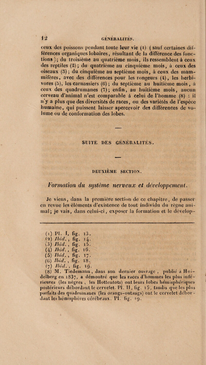 ceux des poissons pendant toute leur vie (») ( sauf certaines dif¬ férences organiques lobaires, résultant de la différence des fonc¬ tions); du troisième au quatrième mois, ils ressemblent à ceux des reptiles (2); du quatrième au cinquième mois, à ceux des oiseaux (5); du cinquième au septième mois, à ceux des mam¬ mifères, avec des différences pour les rongeurs (4), les herbi¬ vores (5), les carnassiers (6) ; du septième au huitième mois, à ceux des quadrumanes (7); enfin, au huitième mois, aucun cerveau d’animal n’est comparable à celui de l’homme (8) : il n’y a plus que des diversités de races, ou des variétés de l’espèce humaine, qui puissent laisser apercevoir des différences de vo ¬ lume ou de conformation des lobes. SUITE DES GÉNÉRALITÉS. DEUXIÈME SECTION. Formation du système nerveux et développement. Je viens, dans la première section de ce chapitre, de passer en revue les éléments d’existence de tout individu du règne ani¬ mal; je vais, dans celui-ci, exposer la formation et le dévelop- (1) PL I, fig. i3. (2) Ibid. , fig. 14. (3) Ibid. , fig. i5. (4) Ibid. , fig. 16. (5) Ibid. , fig. 17. (G) Ibid. , fig. 18. (7) Ibid. , fig. 19. (8) M. Tiedemann, dans son dernier ouvrage , publié à Hei¬ delberg en 1837, a démontré que les races d’hommes les plus infé¬ rieures (les nègres , les Hottentots) ont leurs lobes hémisphériques postérieurs débordaut le cervelet. PL II, fig. 1 5, tandis que les plus parfaits des quadrumanes (les orangs-outangs) ont le cervelet débor¬ dant les hémisphères cérébraux. PL fig. 19.