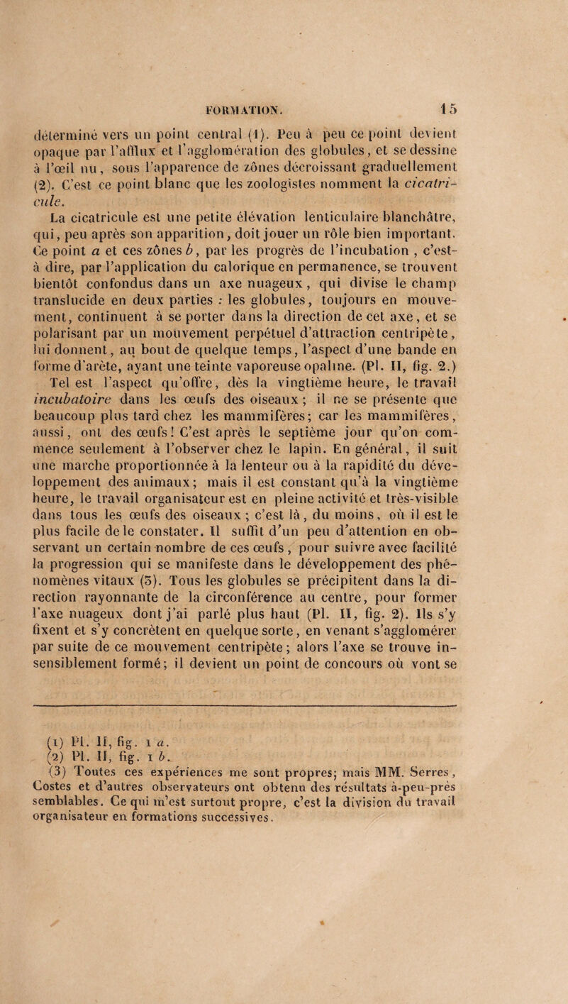 déterminé vers un point central (1). Peu à peu ce point devient opaque par l’afflux et l’agglomération des globules, et se dessine à l’œil nu, sous l’apparence de zones décroissant graduellement (2). C’est ce point blanc que les zoologistes nomment la ciccitri- cille. La cicatricule est une petite élévation lenticulaire blanchâtre, qui, peu après son apparition, doit jouer un rôle bien important. Ce point a et ces zones b, par les progrès de l’incubation , c’est- à dire, par l’application du calorique en permanence, se trouvent bientôt confondus dans un axe nuageux, qui divise le champ translucide en deux parties ; les globules, toujours en mouve¬ ment, continuent à se porter dans la direction de cet axe, et se polarisant par un mouvement perpétuel d’attraction centripète , lui donnent, au bout de quelque temps, l’aspect d’une bande en forme d’arète, ayant une teinte vaporeuse opaline. (Pl. II, fig. 2.) Tel est l’aspect qu’offre, dès la vingtième heure, le travail incubatoire dans les œufs des oiseaux ; il ne se présente que beaucoup plus tard chez les mammifères; car les mammifères, aussi, ont des œufs ! C’est après le septième jour qu’on com¬ mence seulement à l’observer chez le lapin. En général, il suit une marche proportionnée à la lenteur ou à la rapidité du déve¬ loppement des animaux; mais il est constant qu’à la vingtième heure, le travail organisateur est en pleine activité et très-visible dans tous les œufs des oiseaux ; c’est là, du moins, où il est le plus facile de le constater. Il suffit d’un peu d’attention en ob¬ servant un certain nombre de ces œufs, pour suivre avec facilité la progression qui se manifeste dans le développement des phé¬ nomènes vitaux (5). Tous les globules se précipitent dans la di¬ rection rayonnante de la circonférence au centre, pour former l’axe nuageux dont j’ai parlé plus haut (Pl. II, fig. 2). Ils s’y fixent et s’y concrètent en quelque sorte, en venant s’agglomérer par suite de ce mouvement centripète; alors l’axe se trouve in¬ sensiblement formé; il devient un point de concours où vont se (i) Pl. II, fig. i a. (Q) Pl. II, fig. i b. (3) Toutes ces expériences me sont propres; mais MM. Serres, Costes et d’autres observateurs ont obtenu des résultats à-peu-près semblables. Ce qui m’est surtout propre, c’est la division du travail organisateur en formations successives.
