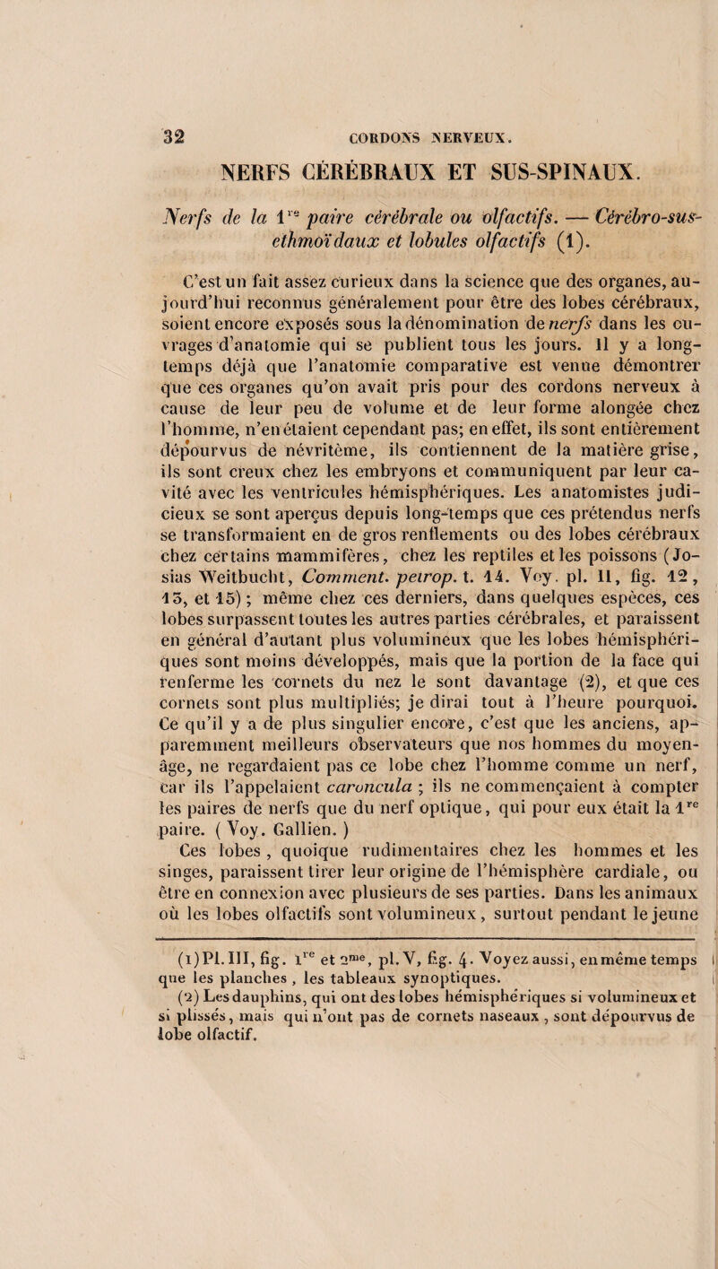 NERFS CÉRÉBRAUX ET SUS-SPINAUX. Nerfs de la U paire cérébrale ou olfactifs. — Cérébro-sus- eihmoïdaux et lobules olfactifs (1). C’est un fait assez curieux dans la science que des organes, au¬ jourd'hui reconnus généralement pour être des lobes cérébraux, soient encore exposés sous la dénomination de, nerfs dans les ou¬ vrages d’anatomie qui se publient tous les jours. Il y a long¬ temps déjà que l’anatomie comparative est venue démontrer que ces organes qu’on avait pris pour des cordons nerveux à cause de leur peu de volume et de leur forme alongée chez l’homme, n’en étaient cependant pas; en effet, ils sont entièrement dépourvus de névritème, ils contiennent de la matière grise, ils sont creux chez les embryons et communiquent par leur ca¬ vité avec les ventricules hémisphériques. Les anatomistes judi¬ cieux se sont aperçus depuis longtemps que ces prétendus nerfs se transformaient en de gros renflements ou des lobes cérébraux chez certains mammifères, chez les reptiles et les poissons (Jo- sias Weitbucht, Comment. peirop.X. 14. Yoy. pl. IL, fig. 12, 13, et 15) ; même chez ces derniers, dans quelques espèces, ces lobes surpassent toutes les autres parties cérébrales, et paraissent en général d’autant plus volumineux que les lobes hémisphéri¬ ques sont moins développés, mais que la portion de la face qui renferme les cornets du nez le sont davantage (2), et que ces cornets sont plus multipliés; je dirai tout à l’heure pourquoi. Ce qu’il y a de plus singulier encore, c’est que les anciens, ap¬ paremment meilleurs observateurs que nos hommes du moyen- âge, ne regardaient pas ce lobe chez l’homme comme un nerf, car ils l’appelaient caroncula ; ils ne commençaient à compter les paires de nerfs que du nerf optique, qui pour eux était la lre paire. ( Yoy. Gallien. ) Ces lobes , quoique rudimentaires chez les hommes et les singes, paraissent tirer leur origine de l’hémisphère cardiale, ou être en connexion avec plusieurs de ses parties. Dans les animaux où les lobes olfactifs sont volumineux, surtout pendant le jeune (i)Pl. III, fig. ire et 2me, pl.Y, fig. 4. Voyez aussi, enmême temps (| que les planches , les tableaux synoptiques. t (‘2) Les dauphins, qui ont des lobes hémisphériques si volumineux et si plissés, mais qui n’ont pas de cornets naseaux , sont dépourvus de lobe olfactif.