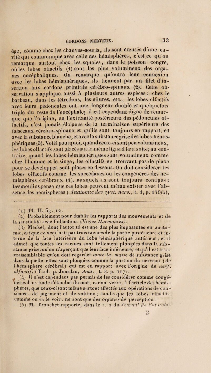 âge, comme chez les chauves-souris, ils sont creusés d’une ca¬ vité qui communique avec celle des hémisphères, c’est ce qu’on remarque surtout chez les squales, dans le poisson congre, où les lobes olfactifs (1) sont les plus volumineux des orga¬ nes encéphaliques. On remarque qu’outre leur connexion avec les lobes hémisphériques, ils tiennent par un filet d’in¬ sertion aux cordons primitifs cérébro-spinaux (2). Cette ob¬ servation s’applique aussi à plusieurs autres espèces : chez le barbeau, dans les tétrodons, les silures, etc., les lobes olfactifs avec leurs pédoncules ont une longueur double et quelquefois triple du reste de l’encéphale; il est cependant digne de remar¬ que que l’origine, ou l’extrémité postérieure des pédoncules ol¬ factifs, n’est jamais éloignée de la terminaison supérieure des faisceaux cérébro-spinaux et qu’ils sont toujours en rapport, et avec lasubstanceblanche,etaveclasubstancegrisedeslobes hémis¬ phériques (o). Voilà pourquoi, quand ceux-ci sont peu volumineux, les lobes olfactifs sont placés sur la même ligne à leur suite; au con¬ traire, quand les lobes hémisphériques sont volumineux comme chez l’homme et le singe, les olfactifs ne trouvant pas de place pour se développer sont placés en dessous. On doit considérer les lobes olfactifs comme les succédanés ou les congénères des hé¬ misphères cérébraux (4), auxquels ils sont toujours contigus; Desmoulins pense que ces lobes peuvent môme exister avec l’ab¬ sence des hémisphères {Anatomiedes syst. nerv., t. 1, p. 170(5), (1) PI. II, fîg. 12. (2) Probablement pour établir les rapports des mouvements et de îa sensibilité avec l’olfaction. (Voyez Harmonies). (3) Meckel, dont l’autorité est une des plus imposantes en anato¬ mie, dit que ce nerf naît par trois racines de la partie postérieure et in« terne de la face intérieure du lobe hémisphérique antérieur , et il admet que toutes les racines sont tellement plongées dans la sub¬ stance grise, qu’on n’aperçoit qife lenrface inférieure, efcqu’il est très- vraisemblable qu’on doit regarder tonte la masse de substance grise dans laquelle elles sont plongées comme la portion du cerveau (de l’hémisphère cérébral) qui est en rapport avec l’origine du nerf, olfactif \ (Trad. p. Jourdan, Anat., t. 3, p. 117). (4) H n’est cependant pas permis de les considérer comme congé- mèresdans toute l’étendue du mot, caron verra, à l’article des hémis¬ phères, que ceux-ci sont même surtout affectés aux opérations de con- sienee, de jugement et devolition; tandis que les lobes olfactifs, comme on va le voir, ne sont que des organes de perception. (5) M Bronchet rapporte, dans le t. 2 du Journal de Physiola- 3