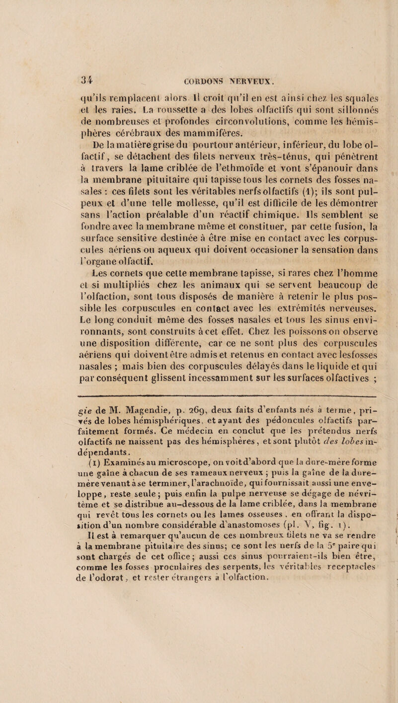 qu’ils remplacent alors 11 croit qu’il en est ainsi chez les squales et les raies. La roussette a des lobes olfactifs qui sont sillonnés de nombreuses et profondes circonvolutions, comme les hémis¬ phères cérébraux des mammifères. De la matière grise du pourtour antérieur, inférieur, du lobe ol¬ factif, se détachent des filets nerveux très-ténus, qui pénètrent à travers la lame criblée de l’ethmoïde et vont s’épanouir dans la membrane pituitaire qui tapisse tous les cornets des fosses na¬ sales : ces blets sont les véritables nerfs olfactifs (4); ils sont pul¬ peux et d’une telle mollesse, qu’il est difficile de les démontrer sans l’action préalable d’un réactif chimique. Ils semblent se fondre avec la membrane même et constituer, par cette fusion, la surface sensitive destinée à être mise en contact avec les corpus¬ cules aériens ou aqueux qui doivent occasioner la sensation dans l’organe olfactif. Les cornets que cette membrane tapisse, si rares chez l’homme et si multipliés chez les animaux qui se servent beaucoup de l’olfaction, sont tous disposés de manière à retenir le plus pos¬ sible les corpuscules en contact avec les extrémités nerveuses. Le long conduit même des fosses nasales et tous les sinus envi¬ ronnants, sont construits àcet effet. Chez les poissons on observe une disposition différente, car ce ne sont plus des corpuscules aériens qui doivent être admis et retenus en contact avec lesfosses nasales ; mais bien des corpuscules délayés dans le liquide et qui par conséquent glissent incessamment sur les surfaces olfactives ; %ie de M. Magendie, p. 269, deux faits d’enfants nés à terme, pri¬ vés de lobes hémisphériques, étayant des pédoncules olfactifs par¬ faitement formés. Ce médecin en conclut que les prétendus nerfs olfactifs ne naissent pas des hémisphères, et sont plutôt des lobes in¬ dépendants . (i) Examinés au microscope, on voitd’abord que la dure-mère forme une gaîne à chacun de ses rameaux nerveux ; puis la gaîne de la dure- mère venant àse terminer, l’arachnoïde, qui fournissait aussi une enve¬ loppe, reste seule; puis enfin la pulpe nerveuse se dégage de névri- tème et se distribue au-dessous de la lame criblée, dans la membrane qui revêt tous les cornets ou les lames osseuses . en offrant la dispo- iition d’un nombre considérable d’anastomoses (pl. V, fig. 1). Il est à remarquer qu’aucun de ces nombreux tiiets ne va se rendre à la membrane pituitaire des sinus; ce sont les nerfs de la 5e paire qui sont chargés de cet office; aussi ces sinus pourraient-ils bien être, comme les fosses procuîaires des serpents, les véritables réceptacles de l’odorat, et rester étrangers à l’olfaction.