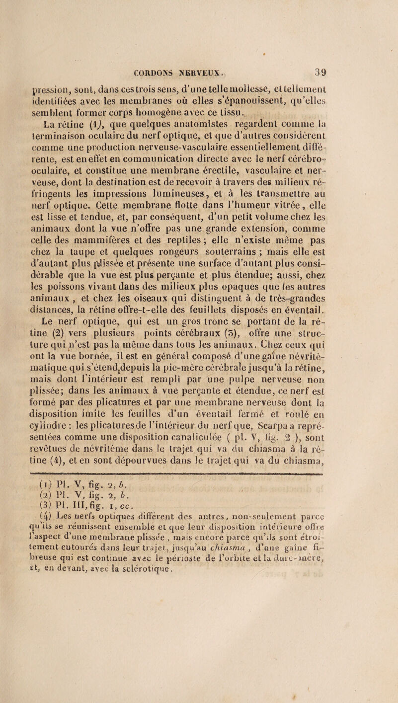 pression, sonl, dans ees trois sens, d’une telle mollesse, et tellement identifiées avec les membranes où elles s’épanouissent, qu’elles semblent former corps homogène avec ce tissu. La rétine (1 J, que quelques anatomistes regardent comme la terminaison oculairedu nerf optique, et que d’autres considèrent comme une production nerveuse-vasculaire essentiellement diffé- rente, est en effet en communication directe avec le nerf cérébro- oculaire, et constitue une membrane érectile, vasculaire et ner¬ veuse, dont la destination est de recevoir à travers des milieux ré¬ fringents les impressions lumineuses, et à les transmettre au nerf optique. Cette membrane flotte dans l’humeur vitrée, elle est lisse et tendue, et, par conséquent, d’un petit volume chez les animaux dont la vue n’offre pas une grande extension, comme celle des mammifères et des reptiles ; elle n’existe môme pas chez la taupe et quelques rongeurs souterrains ; mais elle est d’autant plus p/lissée et présente une surface d’autant plus consi¬ dérable que la vue est plus perçante et plus étendue; aussi, chez les poissons vivant dans des milieux plus opaques que les autres animaux , et chez les oiseaux qui distinguent à de très-grandes distances, la rétine offre-t-elle des feuillets disposés en éventail. Le nerf optique, qui est un gros tronc se portant de la ré¬ tine (2) vers plusieurs points cérébraux (o), offre une struc¬ ture qui n’est pas la môme dans tous les animaux. Chez ceux qui ont la vue bornée, il est en général composé d’une gaine névritè- matique qui s’étend^depuis la pie-mère cérébrale jusqu’à la rétine, mais dont l’intérieur est rempli par une pulpe nerveuse non plissée; dans les animaux à vue perçante et étendue, ce nerf est formé par des plicatures et par une membrane nerveuse dont la disposition imite les feuilles d’un éventail fermé et roulé en cylindre: les plicaturesde l’intérieur du nerf que, Scarpa a repré¬ sentées comme une disposition canaliculée ( pl. V, fig. 2 ), sont revêtues de névritème dans le trajet qui va du chiasma à la ré¬ tine (4), et en sont dépourvues dans le trajet qui va du chiasma, (1) Pl. Y, fig. 2, b. (2) Pl. V, fig. 2, b. (3) Pi. III, fig. i, cc. (4) Les nerfs optiques diffèrent des autres, non-seulement parce qu’ils se réunissent ensemble et que leur disposition intérieure offre l’aspect d’une membrane plissée , mais encore parce qu’ils sont étroi¬ tement eutourés dans leur trajet, jusqu’au chiasma , d’une gaîne fi¬ breuse qui est continue avec le périoste de l’orbite et la dure-mère, et, en devant, avec la sclérotique.