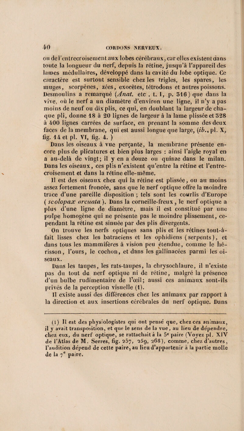 ou de l’entrecroisement aux lobes cérébraux, car elles existent dans toute la longueur du nerf, depuis la rétine, jusqu’à l’appareil des lames médullaires, développé dans la cavité du lobe optique. Ce caractère est surtout sensible chez les trigles, les spares, les muges, scorpènes, zées, exocètes, tétrodons et autres poissons. Desmoulins a remarqué {Anat. etc , t. I, p. 316) que dans la vive, où le nerf a un diamètre d’environ une ligne, il n’y a pas moins de neuf ou dix plis, ce qui, en doublant la largeur de cha¬ que pli, donne 18 à 20 lignes de largeur à la lame plisséeet 528 à 400 lignes carrées de surface, en prenant la somme des deux faces de la membrane, qui est aussi longue que large, (ibpl. X, fig. 14 et pl. Vf, fig. 4. ) Dans les oiseaux à vue perçante, la membrane présente en¬ core plus de plicatures et bien plus larges : ainsi l’aigle royal en a au-delà de vingt; il y en a douze ou quinze dans le milan. Dans les oiseaux, ces plis n’existent qu’entre la rétine et l’entre¬ croisement et dans la rétine elle-même. Il est des oiseaux chez qui la rétine est plissée, ou au moins assez fortement froncée, sans que le nerf optique offre la moindre trace d’une pareille disposition ; tels sont les courlis d’Europe ( scolopax arcuata ). Dans la corneille-freux , le nerf optique a plus d’une ligne de diamètre, mais il est constitué par une pulpe homogène qui ne présente pas le moindre plissement, ce¬ pendant la rétine est sinuée par des plis divergents. On trouve les nerfs optiques sans plis et les rétines tout-à- fait lisses chez les batraciens et les ophidiens (serpents), et dans tous les mammifères à vision peu étendue, comme le hé¬ risson, l’ours, le cochon, et dans les gallinacées parmi les oi¬ seaux. Dans les taupes, les rats-taupes, la chrysochlaure, il n’existe pas du tout de nerf optique ni de rétine, malgré la présence d’un bulbe rudimentaire de l’œil; aussi ces animaux sont-ils privés de la perception visuelle (1). Il existe aussi des différences chez les animaux par rapport à la direction et aux insertions cérébrales du nerf optique. Dans (l) Il est des physiologistes qui ont pensé que, chez ces animaux, il y avait transposition, et que le sens de la vue, au lieu de dépendre, chez eux, du nerf optique, se rattachait à la 5e paire (Voyez pl. XIV de l’Atlas de M. Serres, fig. 2Ô7, 259, 268), comme, chez d’autres, l’audition dépend de cette paire, au lieu d’appartenir à la partie molle de la 7e paire.