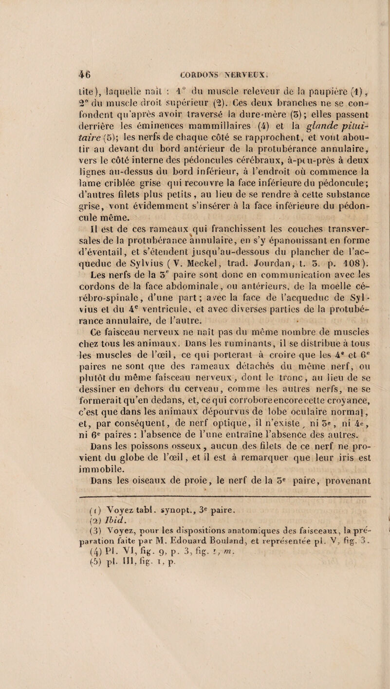 Lite), laquelle naît : 4Ü du muscle releveur de la paupière (1), 2° du muscle droit supérieur (2). Ces deux branches ne se con-* fondent qti'après avoir traversé la dure-mère (5); elles passent derrière les éminences mammillaires (4) et la glande pilui- taire (5); les nerfs de chaque côté se rapprochent, et vont abou¬ tir au devant du bord antérieur de la protubérance annulaire, vers le côté interne des pédoncules cérébraux, à-pcu-près à deux lignes au-dessus du bord inférieur, à l’endroit où commence la lame criblée grise qui recouvre la face inférieure du pédoncule; d’autres filets plus petits, au lieu de se rendre à cette substance grise, vont évidemment s’insérer à la face inférieure du pédon¬ cule même. Il est de ces rameaux qui franchissent les couches transver¬ sales de la protubérance annulaire, en s’y épanouissant en forme d’éventail, et s’étendent jusqu’au-dessous du plancher de l’ac- queduc de Sylvius (V. Meckel, trad. Jourdan, t. 5. p. 408). Les nerfs de la 5e paire sont donc en communication avec les cordons de la face abdominale, ou antérieurs, de la moelle cé¬ rébro-spinale, d’une part; avec la face de l’acqueduc de Syl¬ vius et du 4e ventricule, et avec diverses parties de la protubé¬ rance annulaire, de l’autre. Ce faisceau nerveux ne naît pas du même nombre de muscies chez tous les animaux. Dans les ruminants, il se distribue à tous les muscles de l’œil, ce qui porterait à croire que les 4® et 6e paires ne sont que des rameaux détachés du même nerf, ou plutôt du même faisceau nerveux, dont le tronc, au lieu de se dessiner en dehors du cerveau, comme les autres nerfs, ne se formerait qu’en dedans, et, ce qui corrobore encore cette croyance, c’est que dans les animaux dépourvus de lobe oculaire normal, et, par conséquent, de nerf optique, il n’existe, ni , ni 4e, ni 6e paires : l’absence de l’une entraîne l’absence des autres. Dans les poissons osseux, aucun des filets de ce nerf ne pro¬ vient du globe de l’œil, et il est à remarquer que leur iris est immobile. Dans les oiseaux de proie, le nerf de la 5e paire, provenant ( i) Voyez tabl. synopt., 3e paire. (2) Ibid. (3) Voyez, pour les dispositions anatomiques des faisceaux, la pré¬ paration faite par M. Edouard Bouland, et représentée pl. V, fig. 3. (4) PI. VI, fig. 9, p. 3, fig. i,m. (5) pl. 111, fig- i, p-