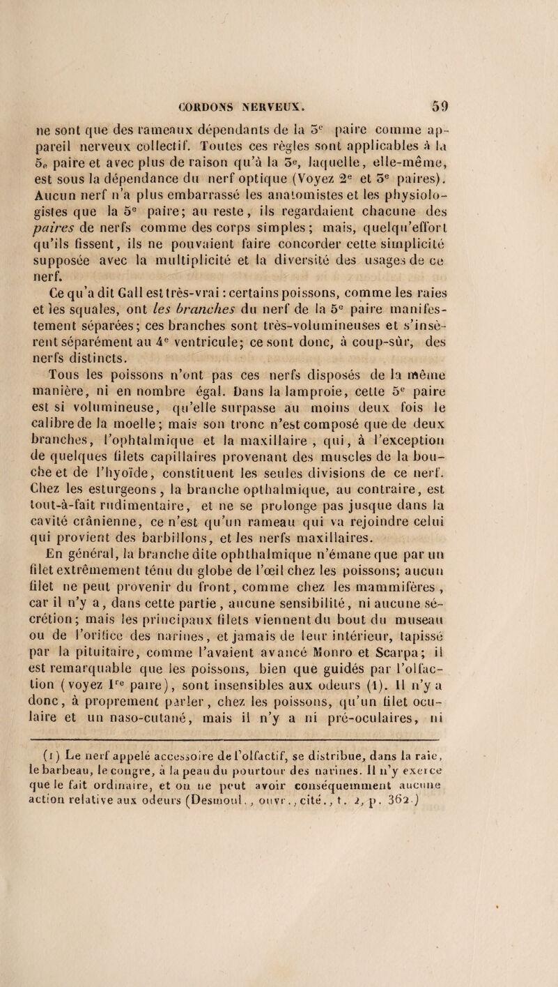 ne sont que des rameaux dépendants de la 5e paire comme ap¬ pareil nerveux collectif. Toutes ces règles sont applicables à la 5e paire et avec plus de raison qu’à la 5e, laquelle, elle-même, est sous la dépendance du nerf optique (Voyez 2e et 5e paires). Aucun nerf n’a plus embarrassé les anatomistes et les physiolo¬ gistes que la 5e paire; au reste, ils regardaient chacune des paires de nerfs comme des corps simples; mais, quelqu’efforl qu’ils fissent, ils ne pouvaient faire concorder cette simplicité supposée avec la multiplicité et la diversité des usages de ce nerf. Ce qu’a dit Gall est très-vrai : certains poissons, comme les raies et les squales, ont les branches du nerf de la 5e paire manifes¬ tement séparées; ces branches sont très-volumineuses et s’insè¬ rent séparément au 4e ventricule; ce sont donc, à coup-sùr, des nerfs distincts. Tous les poissons n’ont pas ces nerfs disposés de la même manière, ni en nombre égal. Dans la lamproie, cette 5e paire est si volumineuse, qu’elle surpasse au moins deux fois le calibre de la moelle; mais son tronc n’est composé que de deux branches, l’ophtalmique et la maxillaire , qui, à l’exception de quelques filets capillaires provenant des muscles de la bou¬ che et de l’hyoïde, constituent les seules divisions de ce nerf. Chez les esturgeons, la branche opthalmique, au contraire, est tout-à-fait rudimentaire, et ne se prolonge pas jusque dans la cavité crânienne, ce n’est qu’un rameau qui va rejoindre celui qui provient des barbillons, et les nerfs maxillaires. En général, la branche dite ophthalmique n’émane que par un filet extrêmement ténu du globe de l’œil chez les poissons; aucun filet ne peut provenir du front, comme chez les mammifères, car il n’y a, dans cette partie , aucune sensibilité, ni aucune sé¬ crétion; mais les principaux filets viennentdu bout du museau ou de l’orifice des narines, et jamais de leur intérieur, tapissé par la pituitaire, comme l’avaient avancé Monro et Scarpa; il est remarquable que les poissons, bien que guidés par l’olfac¬ tion (voyez Ire paire), sont insensibles aux odeurs (1). 11 n’y a donc, à proprement parler, chez les poissons, qu’un filet ocu¬ laire et un naso-cutané, mais il n’y a ni pré-oculaires, ni (i) Le nerf appelé accessoire de l’olfactif, se distribue, dans la raie, le barbeau, le congre, à la peau du pourtour des narines. 11 n’y exerce que le fait ordinaire, et ou ne peut avoir conséquemment aucune action relative aux odeurs fDesmoul., ouvr., cité., t. i, p. 3fi2.)