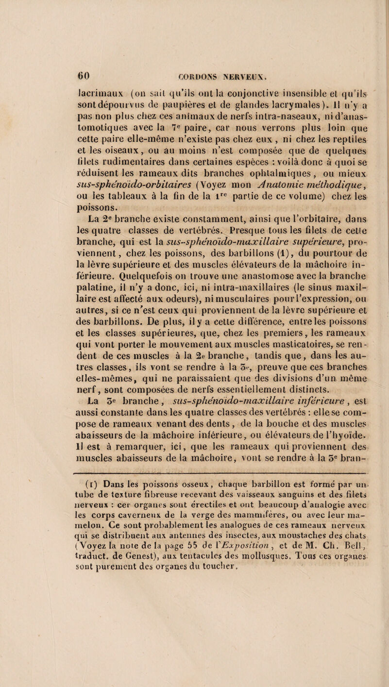 lacrimaux (on bail qu’ils ont la conjonctive insensible et qu’ils sont dépourvus de paupières et de glandes lacrymales). Il n’y a pas non plus chez ces animaux de nerfs inlra-naseaux, ni d’anas¬ tomotiques avec la 7e paire, car nous verrons plus loin que cette paire elle-même n’existe pas chez eux , ni chez les reptiles et les oiseaux, ou au moins n’est composée que de quelques blets rudimentaires dans certaines espèces -.voilàdonc à quoi se réduisent les rameaux dits branches ophtalmiques, ou mieux sus-sphénoido-orbitaires (Voyez mon Anatomie méthodique, ou les tableaux à la fin de la ire partie de ce volume) chez les poissons. La 2e branche existe constamment, ainsi que l’orbitaire, dans les quatre classes de vertébrés. Presque tous les filets de cette branche, qui est la sus-sphénoido-maxillaire supérieure, pro¬ viennent, chez les poissons, des barbillons (1), du pourtour de la lèvre supérieure et des muscles élévateurs de la mâchoire in¬ férieure. Quelquefois on trouve une anastomose avec la branche palatine, il n’y a donc, ici, ni intra-maxillaires (le sinus maxil¬ laire est affecté aux odeurs), ni musculaires pour l’expression, ou autres, si ce n'est ceux qui proviennent de la lèvre supérieure et des barbillons. De plus, il y a cette différence, entre les poissons et les classes supérieures, que, chez les premiers, les rameaux qui vont porter le mouvement aux muscles masticatoires, se ren¬ dent de ces muscles à la 2e branche, tandis que, dans les au¬ tres classes, ils vont se rendre à la 3e, preuve que ces branches elles-mêmes, qui ne paraissaient que des divisions d’un même nerf, sont composées de nerfs essentiellement distincts. La 3e branche , sus-sphénoido-maxillaire inférieure , est aussi constante dans les quatre classes des vertébrés : elle se com¬ pose de rameaux venant des dents , de la bouche et des muscles abaisseurs de la mâchoire intérieure, ou élévateurs de l’hyoïde. U est à remarquer, ici, que les rameaux qui proviennent des muscles abaisseurs de la mâchoire, vont se rendre à la 5e bran- (l) Dans les poissons osseux, chaque barbillon est formé par un tube de texture fibreuse recevant des vaisseaux sanguins et des filets nerveux : cer organes sont érectiles et ont beaucoup d’analogie avec les corps caverneux de la verge des mamnnféres, ou avec leur ma¬ melon. Ce sont probablement les analogues de ces rameaux nerveux qui se distribuent aux antennes des insectes, aux moustaches des chats (Voyez la note de la page 55 de V Exposition , et de M. Ch. Bell, traduct. de Genest), aux tentacules des mollusques. Tous ces organes sont purement des organes du toucher.