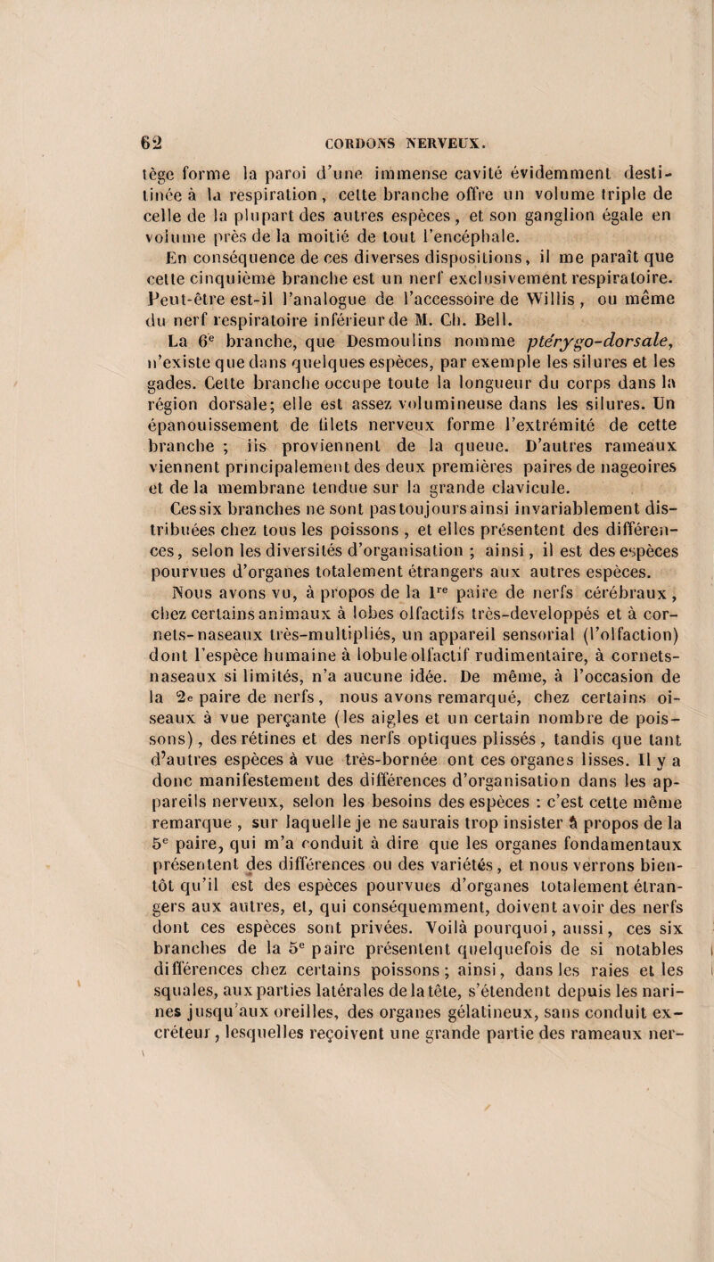 tège forme la paroi d'une immense cavité évidemment desti¬ tuée à la respiration, celte branche offre un volume triple de celle de la plupart des autres espèces, et son ganglion égale en volume près de la moitié de tout l’encéphale. En conséquence de ces diverses dispositions, il me paraît que cette cinquième branche est un nerf exclusivement respiratoire. Peut-être est-il l’analogue de l’accessoire de Willis, ou même du nerf respiratoire inférieur de M. Ch. Bell. La 6 e branche, que Desmoulins nomme p térygo -dorsale, n’existe que dans quelques espèces, par exemple les silures et les gades. Cette branche occupe toute la longueur du corps dans la région dorsale; elle est assez volumineuse dans les silures. Un épanouissement de tilets nerveux forme l’extrémité de cette branche ; iis proviennent de la queue. D’autres rameaux viennent principalement des deux premières paires de nageoires et de la membrane tendue sur la grande clavicule. Cessix branches ne sont pas toujours ainsi invariablement dis¬ tribuées chez tous les poissons , et elles présentent des différen¬ ces, selon les diversités d’organisation ; ainsi, il est des espèces pourvues d’organes totalement étrangers aux autres espèces. Nous avons vu, à propos de la Pe paire de nerfs cérébraux, chez certains animaux à lobes olfactifs très-developpés et à cor¬ nets-naseaux très-multipliés, un appareil sensorial (l’olfaction) dont l’espèce humaine à lobule olfactif rudimentaire, à cornets- naseaux si limités, n’a aucune idée. De même, à l’occasion de la 2e paire de nerfs, nous avons remarqué, chez certains oi¬ seaux à vue perçante (les aigles et un certain nombre de pois¬ sons) , des rétines et des nerfs optiques plissés, tandis que tant d’autres espèces à vue très-bornée ont ces organes lisses. Il y a donc manifestement des différences d’organisation dans les ap¬ pareils nerveux, selon les besoins des espèces : c’est cette même remarque , sur laquelle je ne saurais trop insister â propos de la 5e paire, qui m’a conduit à dire que les organes fondamentaux présentent des différences ou des variétés, et nous verrons bien¬ tôt qu’il est des espèces pourvues d’organes totalement étran¬ gers aux autres, et, qui conséquemment, doivent avoir des nerfs dont ces espèces sont privées. Yoilà pourquoi, aussi, ces six branches de la 5e paire présentent quelquefois de si notables i différences chez certains poissons; ainsi, dans les raies elles l squales, aux parties latérales de la tête, s’étendent depuis les nari¬ nes jusqu aux oreilles, des organes gélatineux, sans conduit ex¬ créteur , lesquelles reçoivent une grande partie des rameaux ner-
