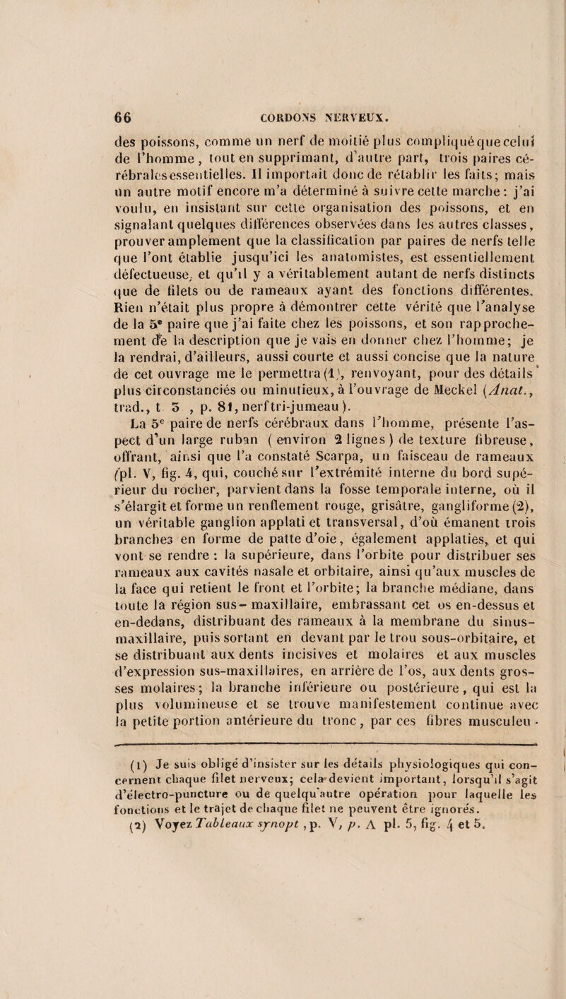 des poissons, comme un nerf de moitié plus compliquéquecelui de l’homme, tout en supprimant, d’autre part, trois paires cé- rébralesessentielles. Il importait donc de rétablir les faits; mais un autre motif encore m’a déterminé à suivre cette marche: j’ai voulu, en insistant sur cette organisation des poissons, et en signalant quelques différences observées dans les autres classes, prouver amplement que la classification par paires de nerfs telle que l’ont établie jusqu’ici les anatomistes, est essentiellement défectueuse, et qu'il y a véritablement autant de nerfs distincts que de filets ou de rameaux ayant des fonctions différentes. Rien n’était plus propre à démontrer cette vérité que l'analyse de la 5e paire que j’ai faite chez les poissons, et son rapproche¬ ment cfe la description que je vais en donner chez l’homme; je la rendrai, d’ailleurs, aussi courte et aussi concise que la nature de cet ouvrage me le permettra(1), renvoyant, pour des détails plus circonstanciés ou minutieux, à l’ouvrage de JVIeckel (Ancit., trad., t 5 , p. 81, nerf tri-jumeau ). La 5e paire de nerfs cérébraux dans l’homme, présente l’as¬ pect d’un large ruban (environ alignes) de texture fibreuse, offrant, ainsi que l’a constaté Scarpa, un faisceau de rameaux ('pl. V, fig. 4, qui, couché sur l’extrémité interne du bord supé¬ rieur du rocher, parvient dans la fosse temporale interne, où il s’élargit et forme un renflement rouge, grisâtre, gangliforme (2), un véritable ganglion applati et transversal, d’où émanent trois branches en forme de patte d’oie, également applaties, et qui vont se rendre: la supérieure, dans l’orbite pour distribuer ses rameaux aux cavités nasale et orbitaire, ainsi qu’aux muscles de la face qui retient le front et l’orbite; la branche médiane, dans toute la région sus- maxillaire, embrassant cet os en-dessus et en-dedans, distribuant des rameaux à la membrane du sinus- maxillaire, puis sortant en devant par le trou sous-orbitaire, et se distribuant aux dents incisives et molaires et aux muscles d’expression sus-maxillaires, en arrière de l’os, aux dents gros¬ ses molaires; la branche inférieure ou postérieure, qui est la plus volumineuse et se trouve manifestement continue avec la petite portion antérieure du tronc, par ces fibres musculeu- (l) Je suis obligé d’insister sur les détails physiologiques qui con¬ cernent chaque filet nerveux; cela devient important, lorsqu’il s’agit d’électro-puncture ou de quelqu’autre opération pour laquelle les fonctions et le trajet de chaque filet ne peuvent être ignorés, pa) Voyez Tableaux synopt ,p. V, p. A pl. 5, fig. 4 et 5.