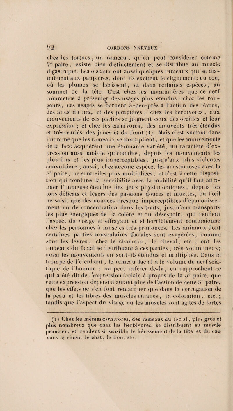 chez les tortues, un rameau, qu 'on peut considérer comme 7e paire , existe bien distinctement et se distribue au muscle digastrique. Les oiseaux ont aussi quelques rameaux qui se dis¬ tribuent aux paupières, dont ils excitent le clignement; au cou, où les plumes se hérissent, et dans certaines espèces, au sommet de la tête C’est chez les mammifères que ce nerf commence à présenter des usages plus étendus : chez les ron¬ geurs, ces usages se bornent à-peu-près à l’action des lèvres, des ailes du nez, et des paupières ; chez les herbivores , aux mouvements de ces parties se joignent ceux des oreilles et leur expression; et chez les carnivores, des mouvents très-étendus et très-variés des joues et du front (J). Mais c'est surtout dans l’homme que les rameaux se multiplient, et que les mouvements de la face acquièrent une étonnante variété, un caractère d’ex-» pression aussi mobile qu’étendue, depuis les mouvements les plus tins et les plus imperceptibles, jusqu’aux plus violentes convulsions ; aussi, chez aucune espèce, les anastomoses avec la 5e paire, nesont-eiies plus multipliées, et c’est à cette disposi¬ tion qui combine la sensibilité avec la mobilité qu’il faut attri¬ buer l’immense étendue des jeux plrysionomiques , depuis les tons délicats et légers des passions douces et muettes, où l’œil ne saisit que des nuances presque imperceptibles d’épanouisse¬ ment ou de concentration dans les traits, jusqu’aux transports les plus énergiques de la colère et du désespoir, qui rendent l’aspect du visage si effrayant et si horriblement contorsionné chez les personnes à muscles très-prononcés. Les animaux dont certaines parties musculaires faciales sont exagérées, comme sont les lèvres, chez le chameau, le cheval, etc., ont les rameaux du facial se distribuant à ces parties , très-volumineux; aussi les mouvements en sont-ils étendus et multipliés. Dans la tr ompe de l'éléphant, le r ameau facial a le volume du nerf scia¬ tique de l’homme : on peut inférer de-là, en rapprochant ce qui a été dit de l'expression faciale à propos de la 5° paire, que cette expression dépend d’autant plus de l’action de cette 5' paire, que les effets ne s’en font remarquer que dans la corr ugation de la peau et les libres des muscles cutanés , la coloration , etc.; tandis que l’aspect du visage où les muscles sont agités de fortes (l) Chez les mêmes carnivores, des rameaux du facial, plus gros et plus nombreux que chez les herbivores, se distribuent au muscle peaucier, et rendent si sensible le hérissement de la tète et du cou dans le chien, le chat, le lion, etc.