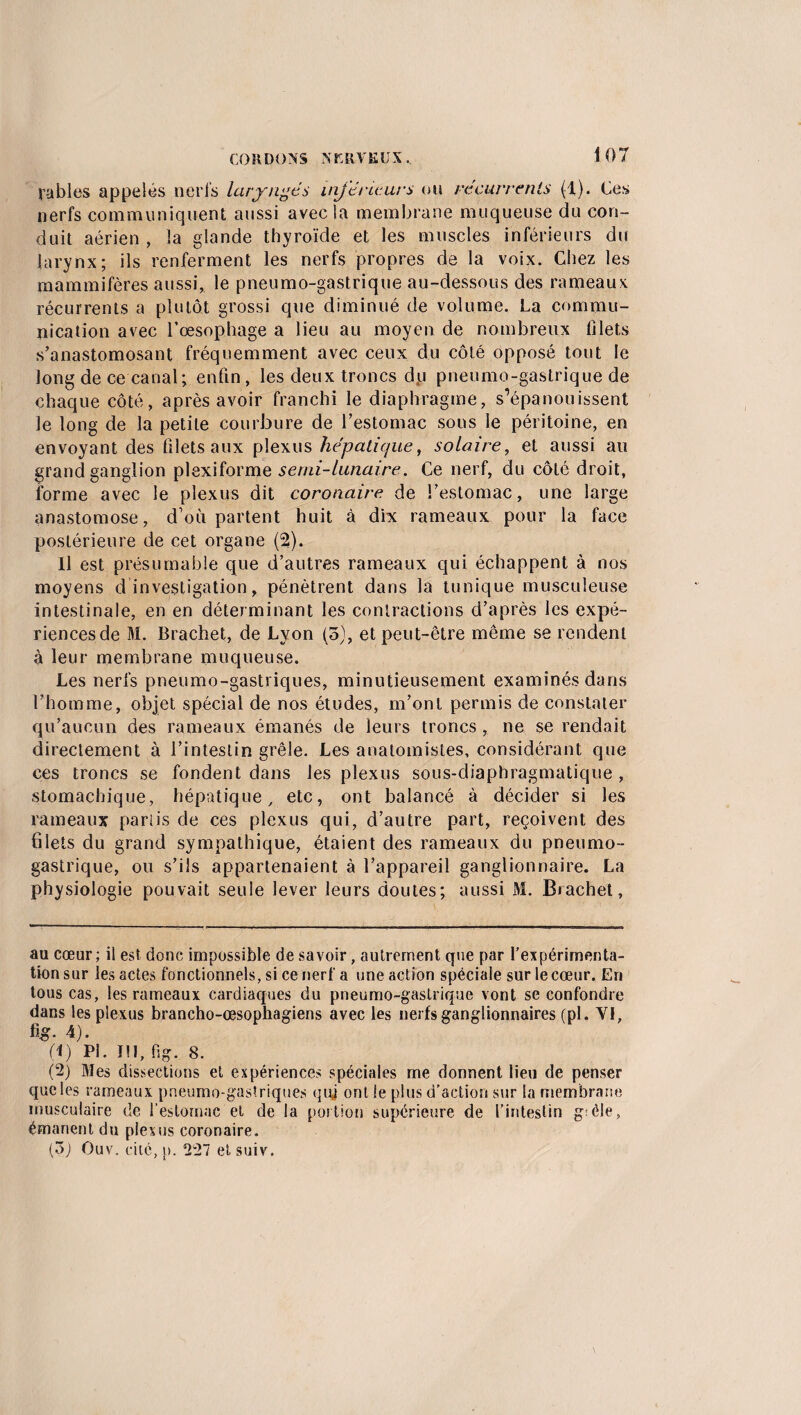 CORDONS N ERV K UX.. fables appelés nerfs laryngés inférieurs ou récurrents (1). Ces nerfs communiquent aussi avec la membrane muqueuse du con¬ duit aérien , la glande thyroïde et les muscles inférieurs du larynx; ils renferment les nerfs propres de la voix. Chez les mammifères aussi, le pneumo-gastrique au-dessous des rameaux récurrents a plutôt grossi que diminué de volume. La commu¬ nication avec l'oesophage a lieu au moyen de nombreux filets s’anastomosant fréquemment avec ceux du côté opposé tout le long de ce canal; enfin, les deux troncs d,u pneumo-gastrique de chaque côté, après avoir franchi le diaphragme, s’épanouissent le long de la petite courbure de l’estomac sous le péritoine, en envoyant des filets aux plexus hépatique, solaire, et aussi au grand ganglion plexiforme semi-lunaire. Ce nerf, du côté droit, forme avec le plexus dit coronaire de l’estomac, une large anastomose, d’où partent huit à dix rameaux pour la face postérieure de cet organe (2). Il est présumable que d’autres rameaux qui échappent à nos moyens d investigation, pénètrent dans la tunique musculeuse intestinale, en en déterminant les contractions d’après les expé¬ riences de M. Brachet, de Lyon (5), et peut-être même se rendent à leur membrane muqueuse. Les nerfs pneumo-gastriques, minutieusement examinés dans l’homme, objet spécial de nos études, m’ont permis de constater qu’aucun des rameaux émanés de leurs troncs, ne se rendait directement à l’intestin grêle. Les anatomistes, considérant que ces troncs se fondent dans les plexus sous-diaphragmatique , stomachique, hépatique, etc, ont balancé à décider si les rameaux partis de ces plexus qui, d’autre part, reçoivent des filets du grand sympathique, étaient des rameaux du pneumo¬ gastrique, ou s’ils appartenaient à l’appareil ganglionnaire. La physiologie pouvait seule lever leurs doutes; aussi M. Brachet, au cœur; il est donc impossible de savoir, autrement que par l’expérimenta¬ tion sur les actes fonctionnels, si ce nerf a une action spéciale sur le cœur. En tous cas, les rameaux cardiaques du pneumo-gastrique vont se confondre dans les plexus brancho-œsophagiens avec les nerfs ganglionnaires (pl. Yl, fi£- 4). fl) Pl. III, fig. 8. (2) Mes dissections et expériences spéciales me donnent lieu de penser que les rameaux pneumo-gastriques qui ont le plus d’action sur la membrane musculaire de l’estomac et de la portion supérieure de l’intestin g;éle, émanent du plexus coronaire. (3) Ouv. cité, p. 227 et suiv.