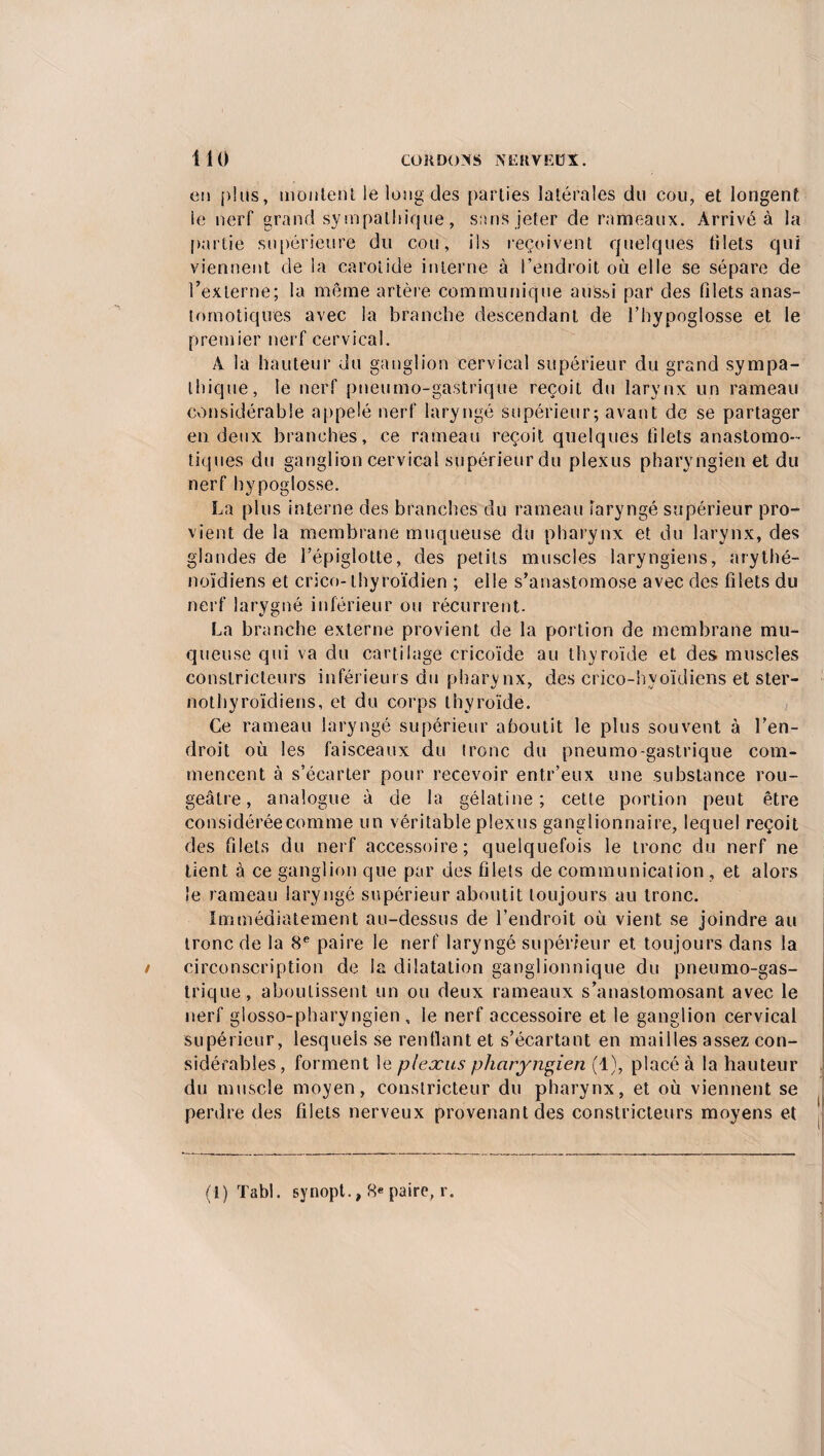 en plus, moulent le long des parties latérales du cou, et longent le nerf grand sympathique, sans jeter de rameaux. Arrivé à la partie supérieure du cou, ils reçoivent quelques blets qui viennent de la carotide interne à l’endroit où elle se sépare de l’externe; la même artère communique aussi par des (ilets anas¬ tomotiques avec la branche descendant de l’hypoglosse et le premier nerf cervical. A la hauteur du ganglion cervical supérieur du grand sympa¬ thique, le nerf pneumo-gastrique reçoit du larynx un rameau considérable appelé nerf laryngé supérieur; avant de se partager en deux branches, ce rameau reçoit quelques filets anastomo¬ tiques du ganglion cervical supérieur du plexus pharyngien et du nerf hypoglosse. La plus interne des branches du rameau laryngé supérieur pro¬ vient de la membrane muqueuse du pharynx et du larynx, des glandes de l’épiglotte, des petits muscles laryngiens, arythé- noïdiens et crico- thyroïdien ; elle s’anastomose avec des filets du nerf larygné inférieur ou récurrent. La branche externe provient de la portion de membrane mu¬ queuse qui va du cartilage cricoïde au thyroïde et des muscles constricteurs inférieurs du pharynx, des crico-hyoïdiens et ster- nothyroïdiens, et du corps thyroïde. Ce rameau laryngé supérieur al3outit le plus souvent à l’en¬ droit où les faisceaux du tronc du pneumo-gastrique com¬ mencent à s’écarter pour recevoir entr’eux une substance rou¬ geâtre, analogue à de la gélatine; cette portion peut être considérée comme un véritable plexus ganglionnaire, lequel reçoit des filets du nerf accessoire; quelquefois le tronc du nerf ne tient à ce ganglion que par des filets de communication , et alors le rameau laryngé supérieur aboutit toujours au tronc. Immédiatement au-dessus de l’endroit où vient se joindre au tronc de la 8e paire le nerf laryngé supérieur et toujours dans la circonscription de la dilatation ganglionnique du pneumo-gas¬ trique, aboutissent un ou deux rameaux s’anastomosant avec le nerf glosso-pharyngien , le nerf accessoire et le ganglion cervical supérieur, lesquels se renflant et s’écartant en mailles assez con¬ sidérables, forment le plexus pharyngien (1), placé à la hauteur du muscle moyen, constricteur du pharynx, et où viennent se perdre des filets nerveux provenant des constricteurs moyens et (1) Tabl. synopt., 8e paire, r.